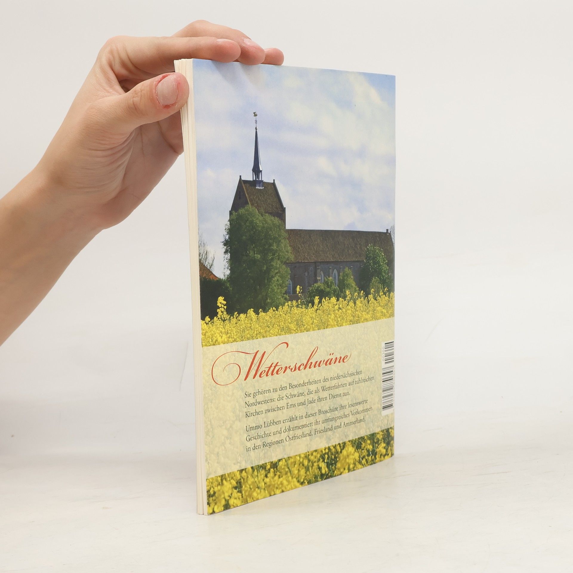 Ummo Luebben Wetterschwäne auf lutherischen Kirchen zwischen Ems und Jade