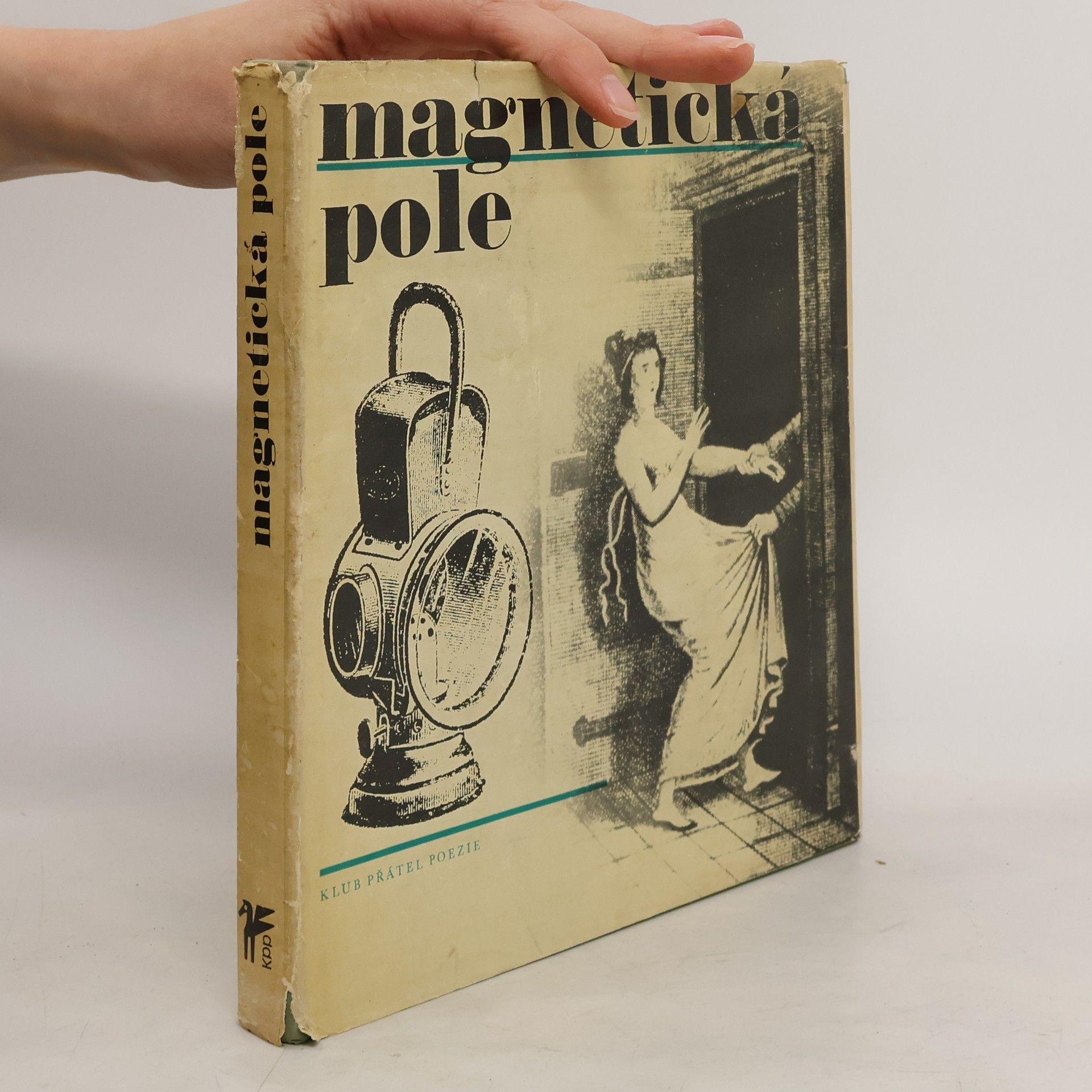 Kolektiv autorů Magnetická pole