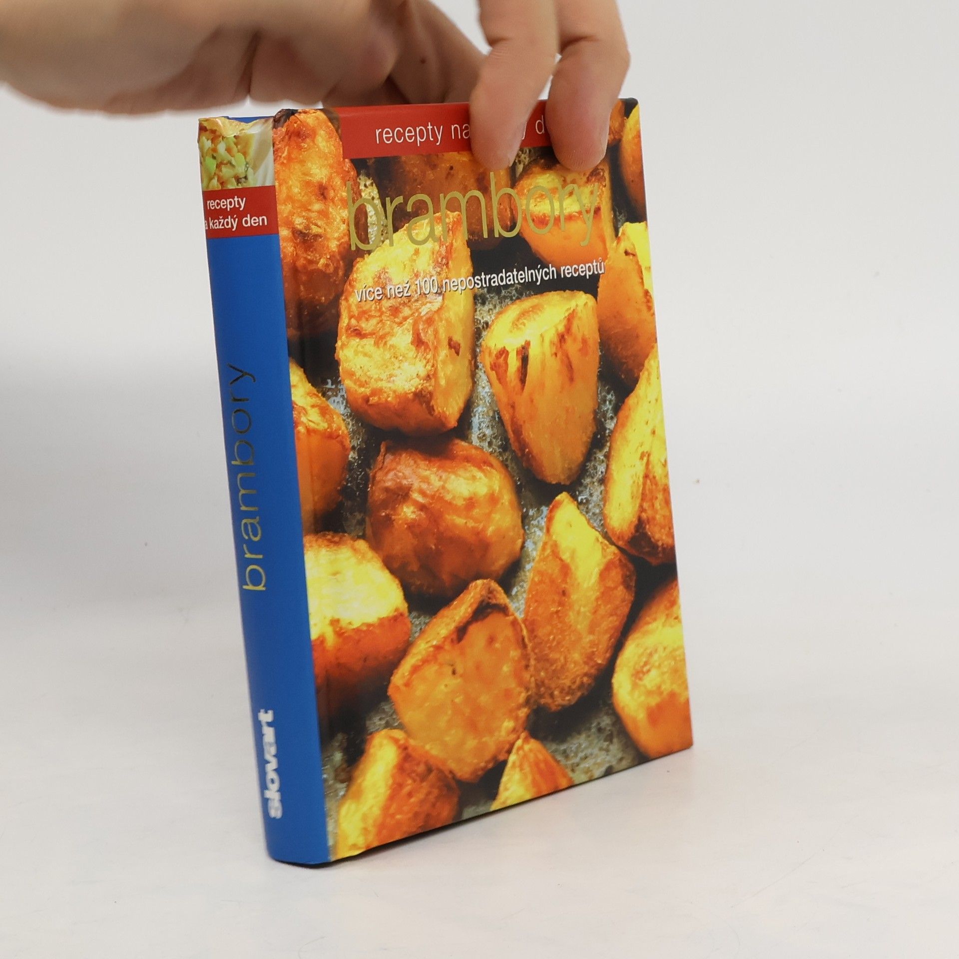 Lucie Peisertová Brambory: Více než 100 nepostradatelných receptů