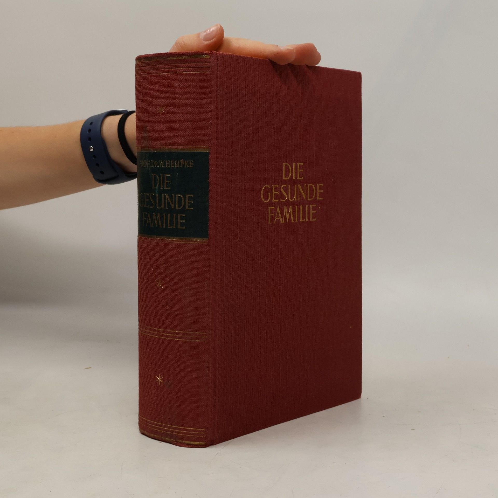Wilhelm Heupke Die gesunde Familie