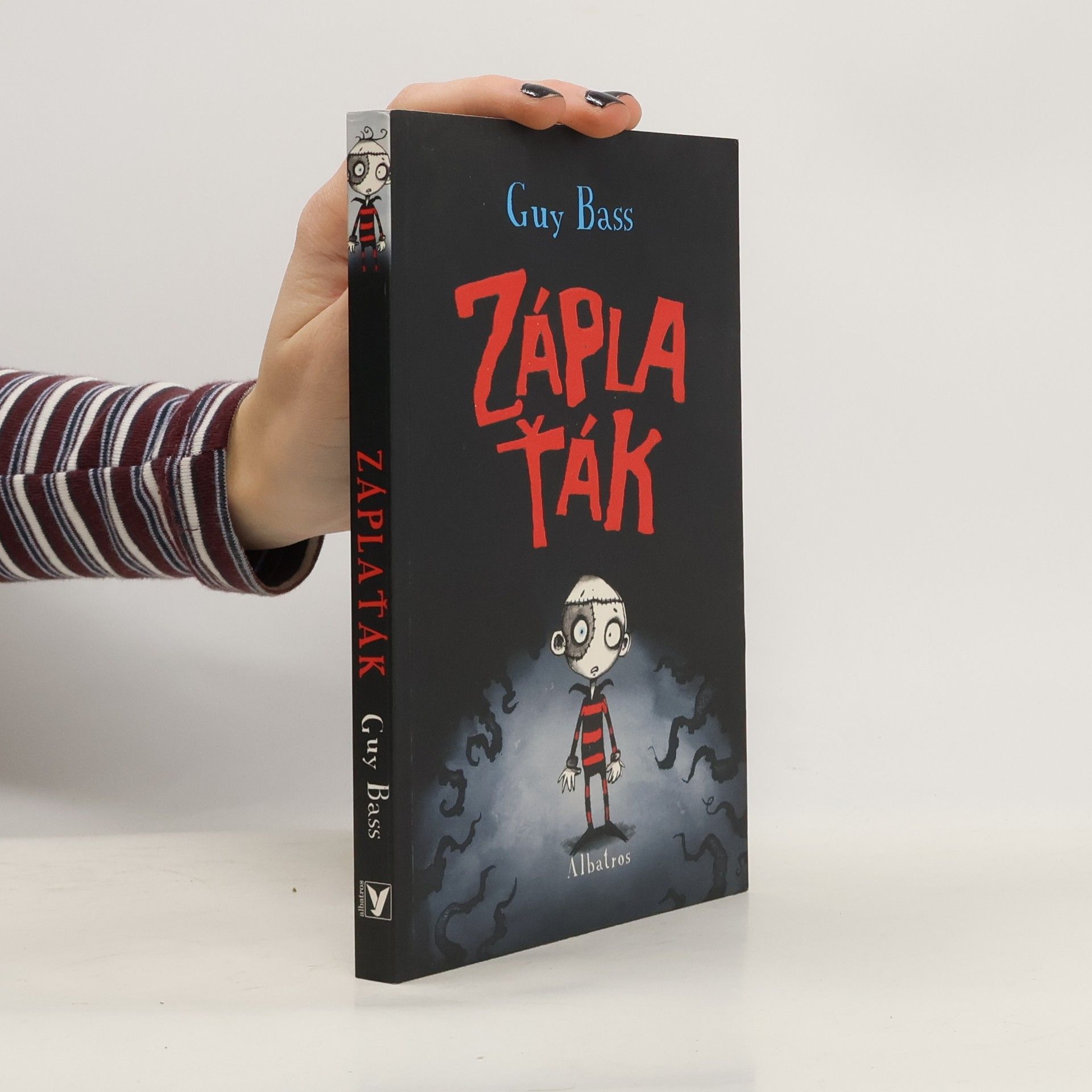 Guy Bass Záplaťák