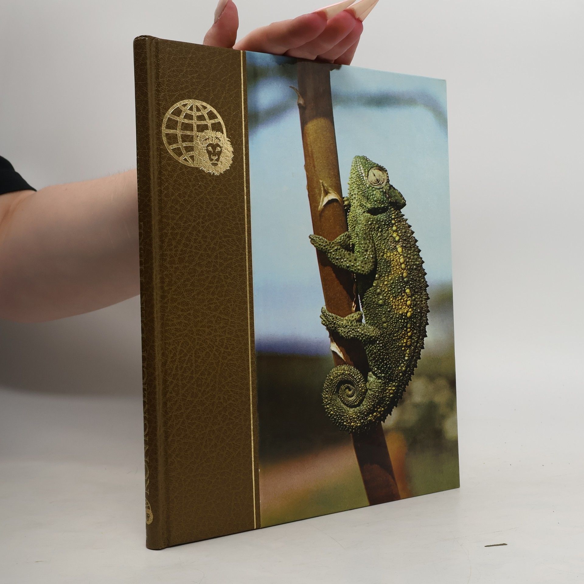 Autorenkollektiv Königreich der Tiere. Afrika IV