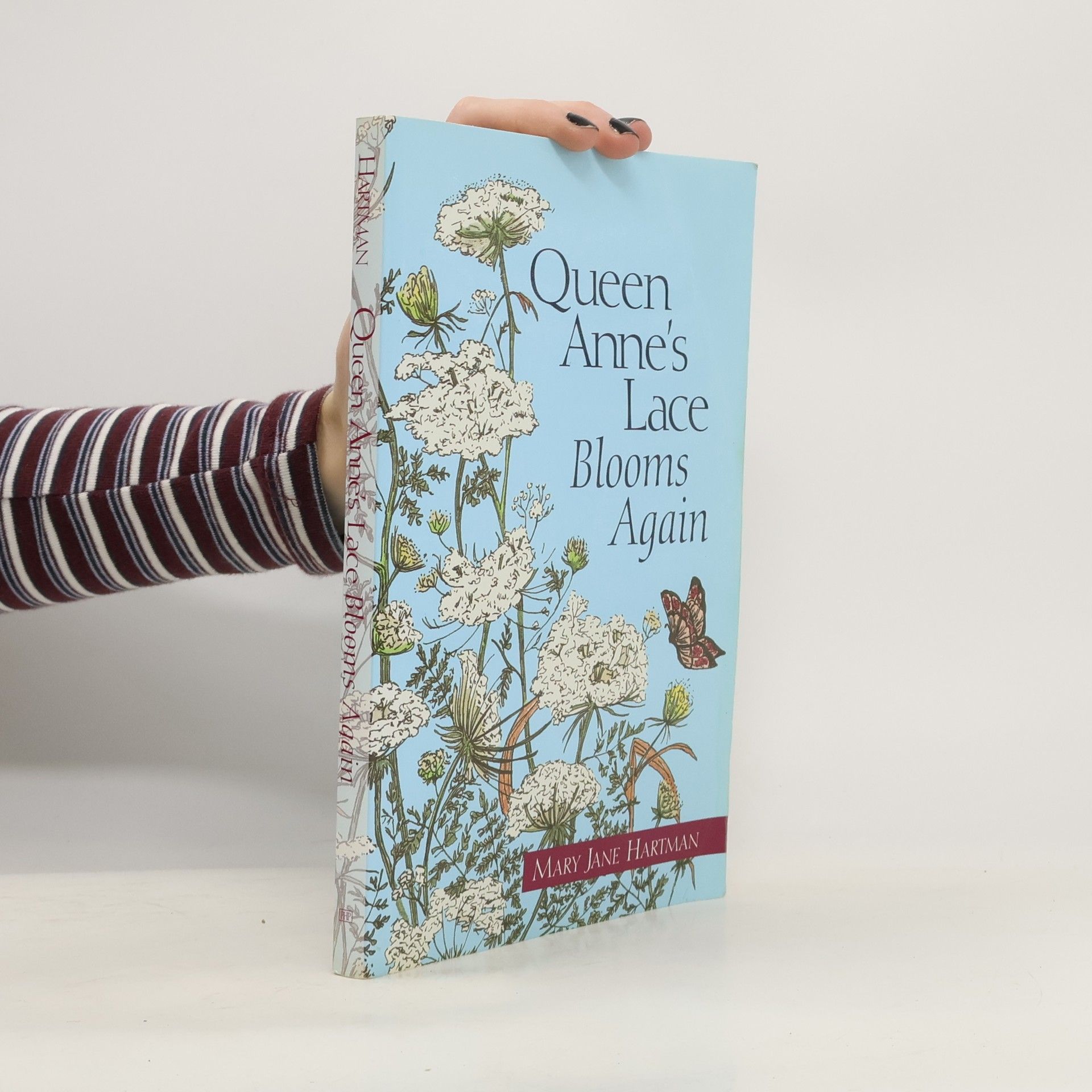 Mary Jane Hartman Queen Anne's Lace Blooms Again