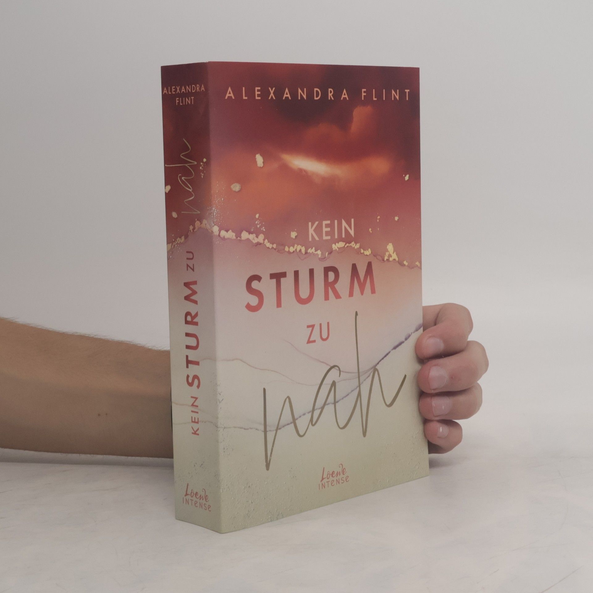 Alexandra Flint Kein Sturm zu nah (Tales of Sylt, Band 2)