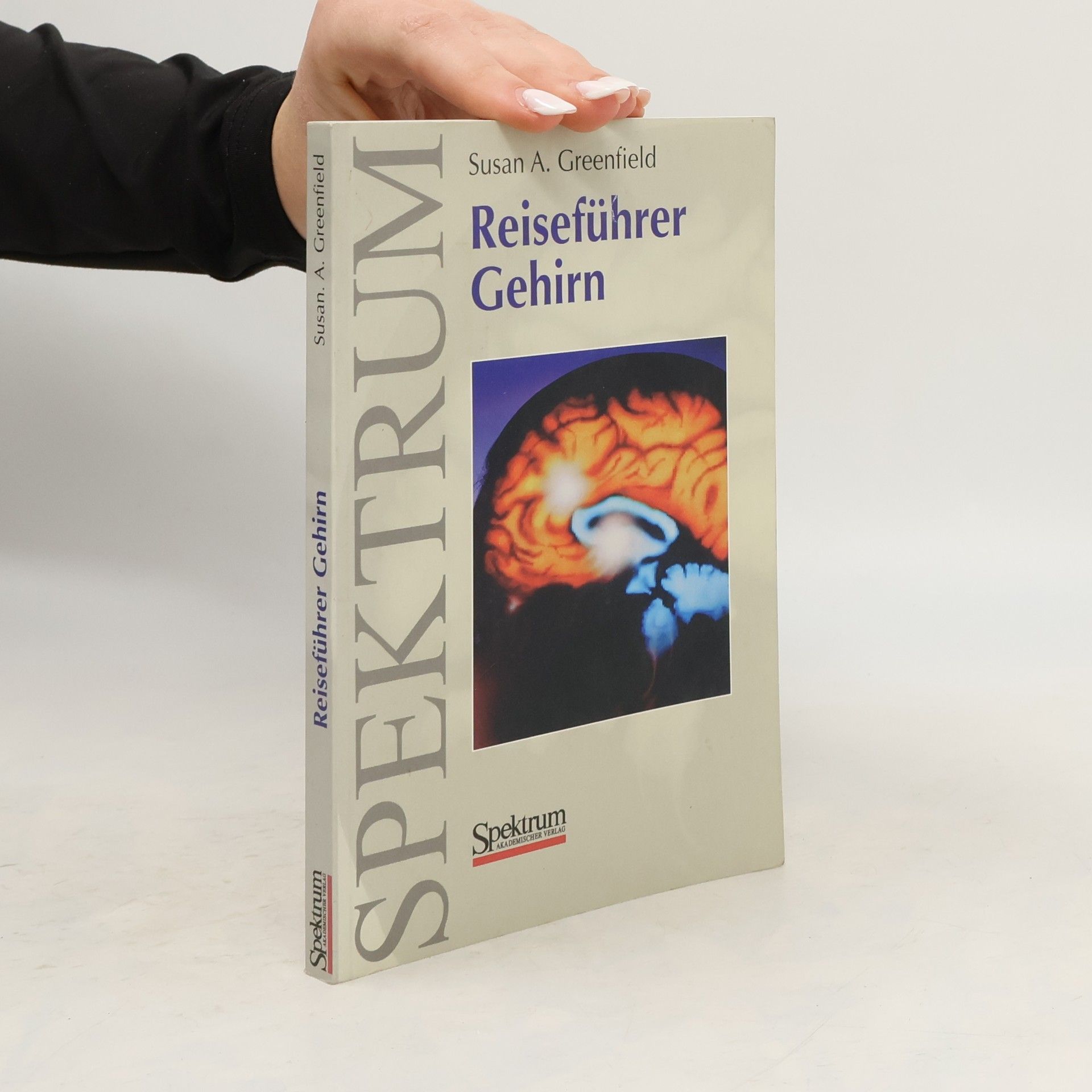 Susan Greenfield Reiseführer Gehirn