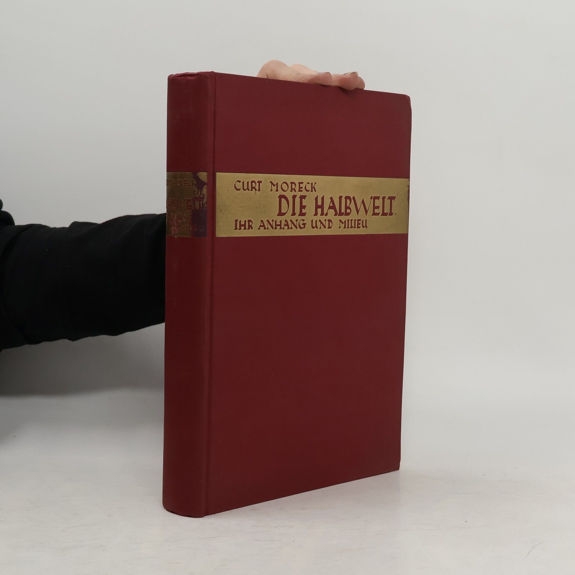 Die Halbwelt ihr Anhang und Milieu