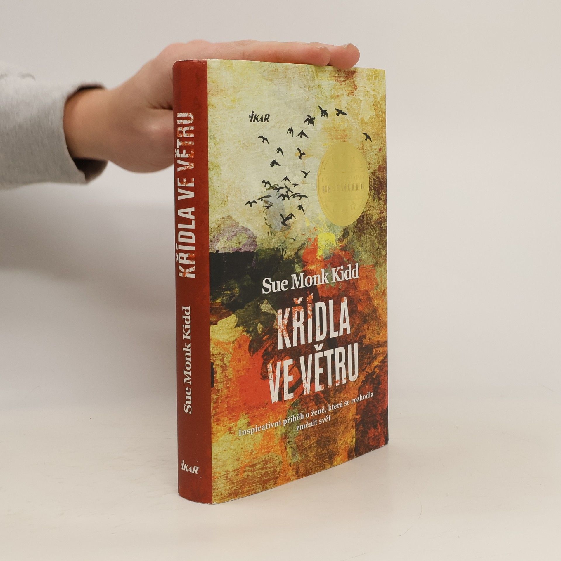 Sue Monk Kidd Křídla ve větru