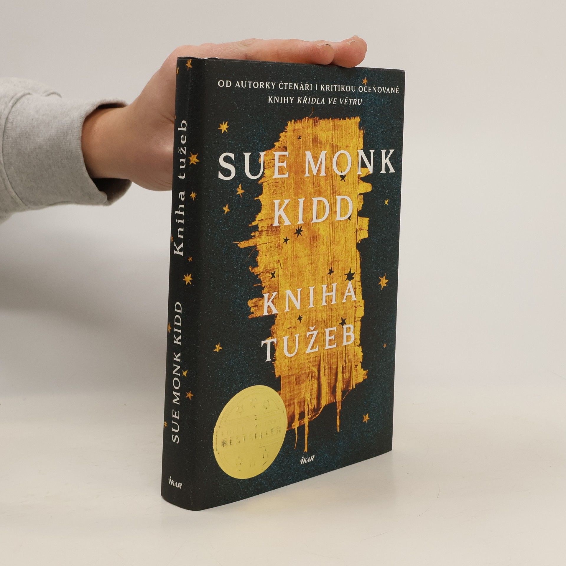 Sue Monk Kidd Kniha tužeb