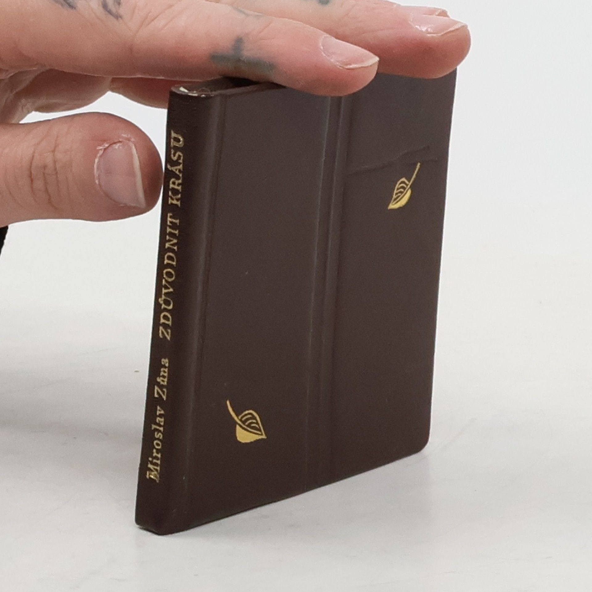 Miroslav Zůna Zdůvodnit krásu