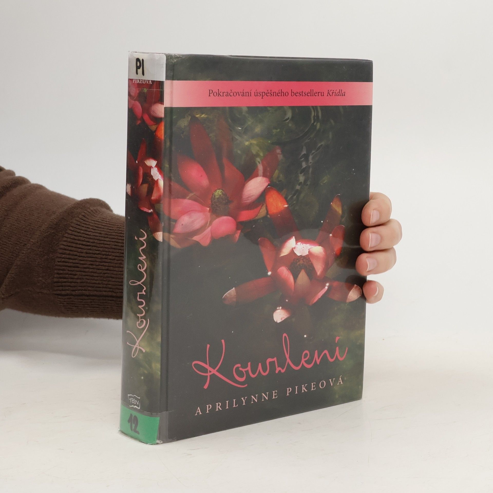 Kouzlení. Křídla 2