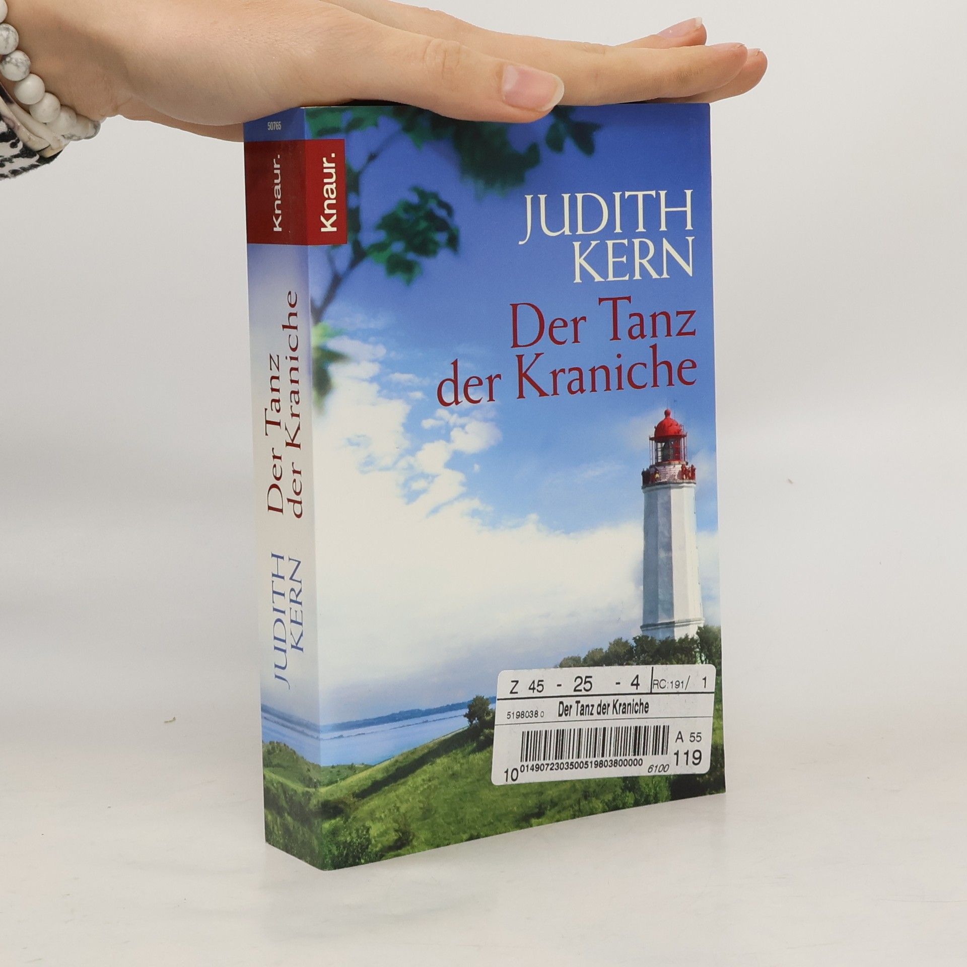 Judith Kern Der Tanz der Kraniche