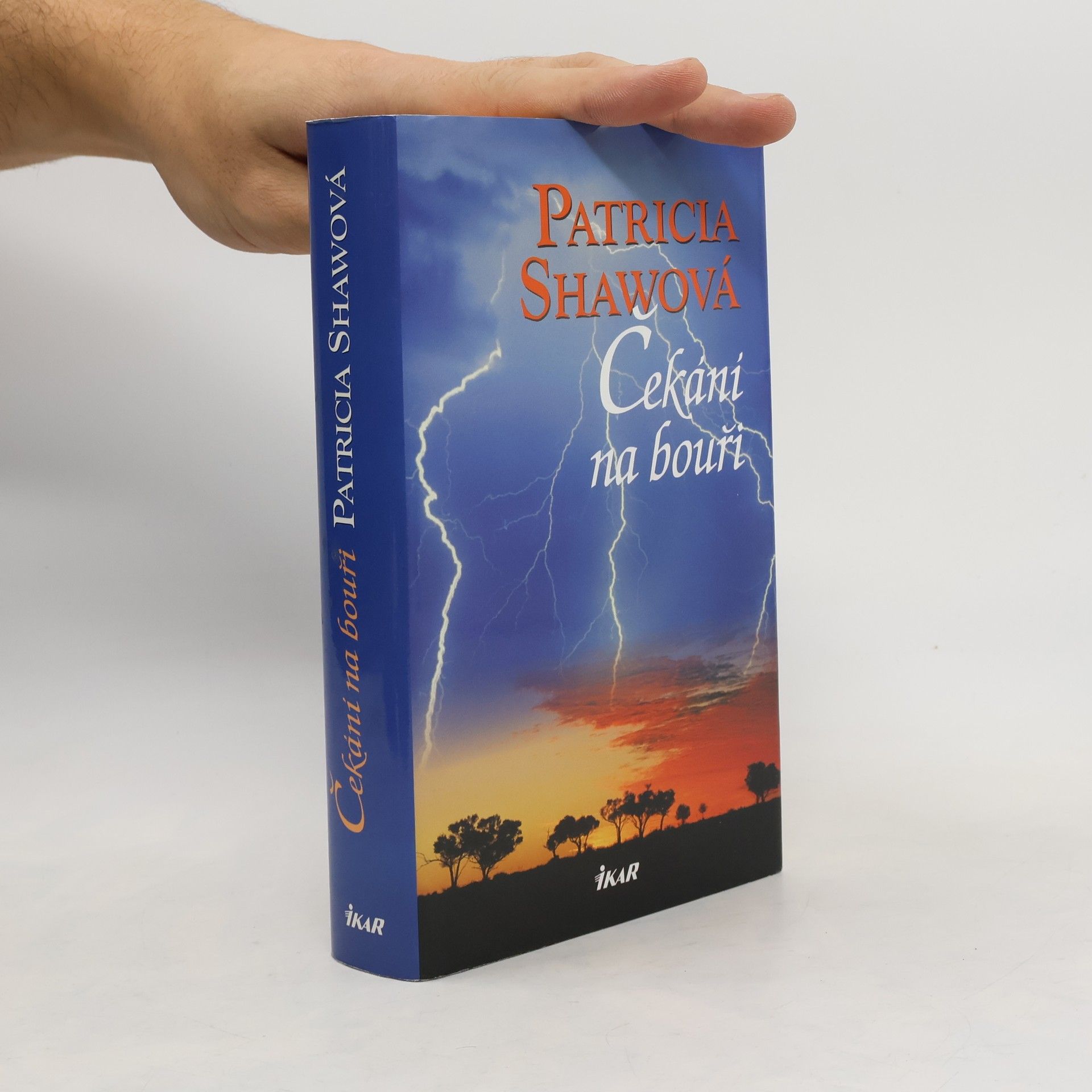 Patricia Shaw Čekání na bouři