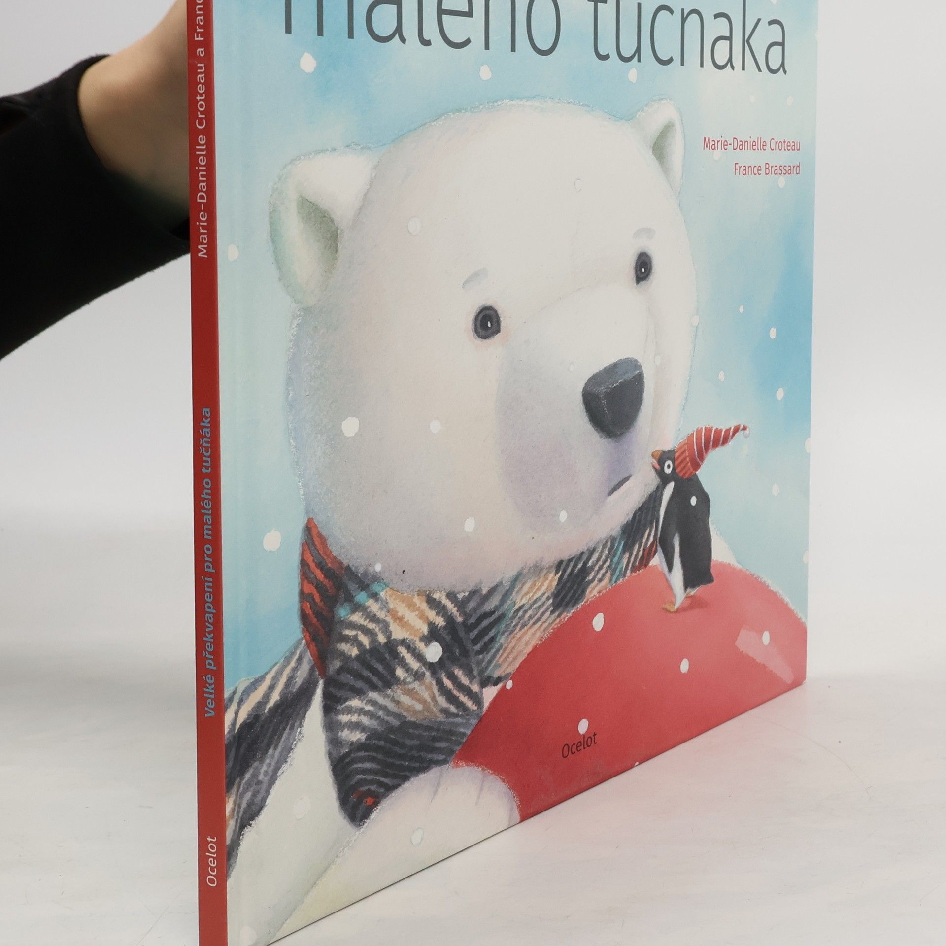 MarieDanielle Croteau Velké překvapení pro malého tučňáka