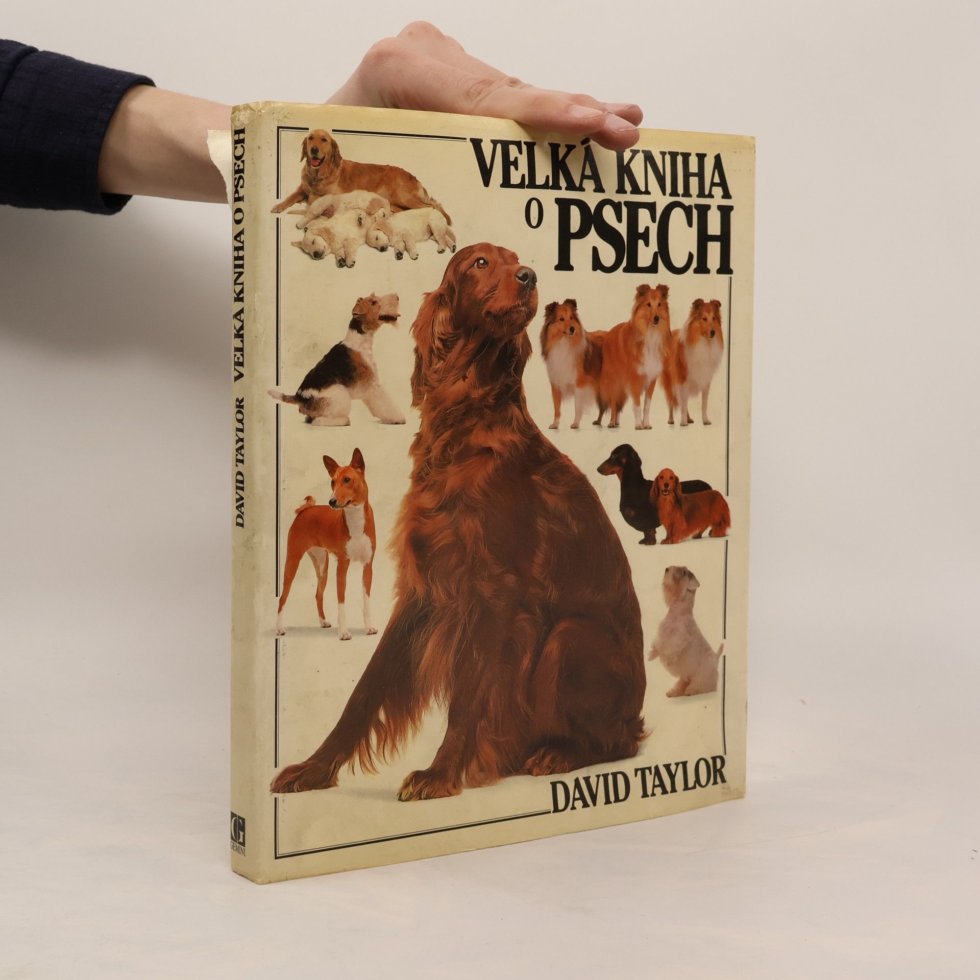 David Conrad Taylor Velká kniha o psech