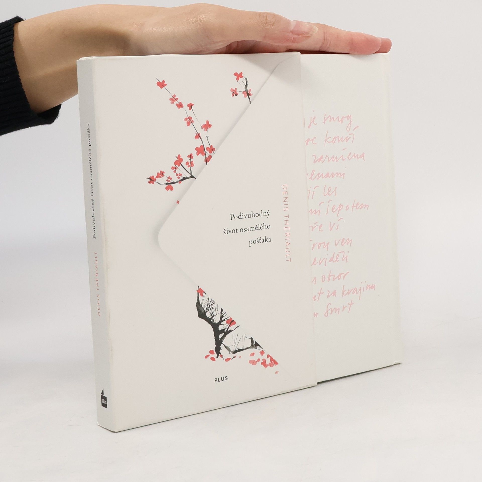 Denis Thériault Podivuhodný život osamělého pošťáka