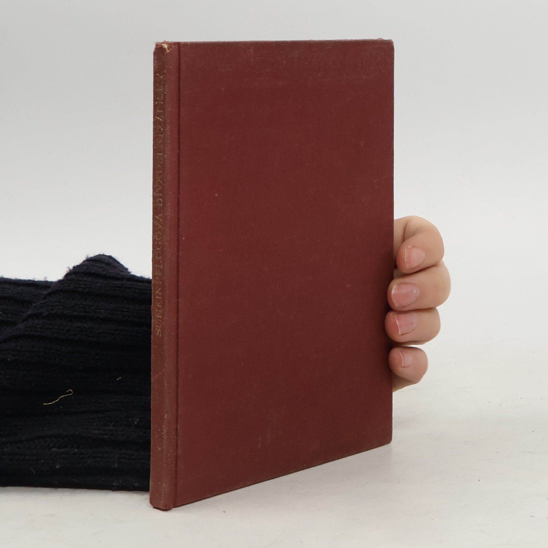 Olga Scheinpflugová Divadelní zápisky