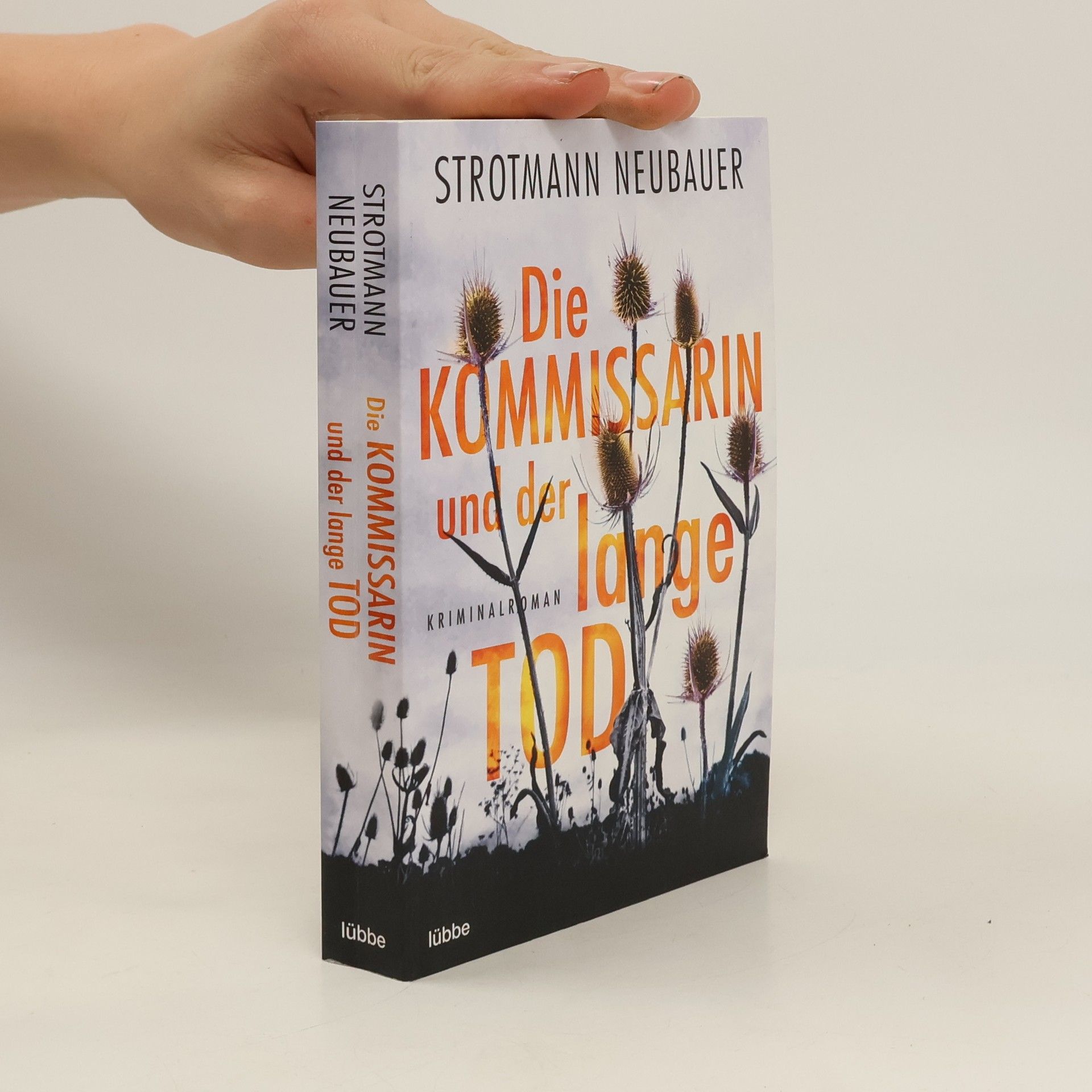 Eva Almstadt Ostseefalle