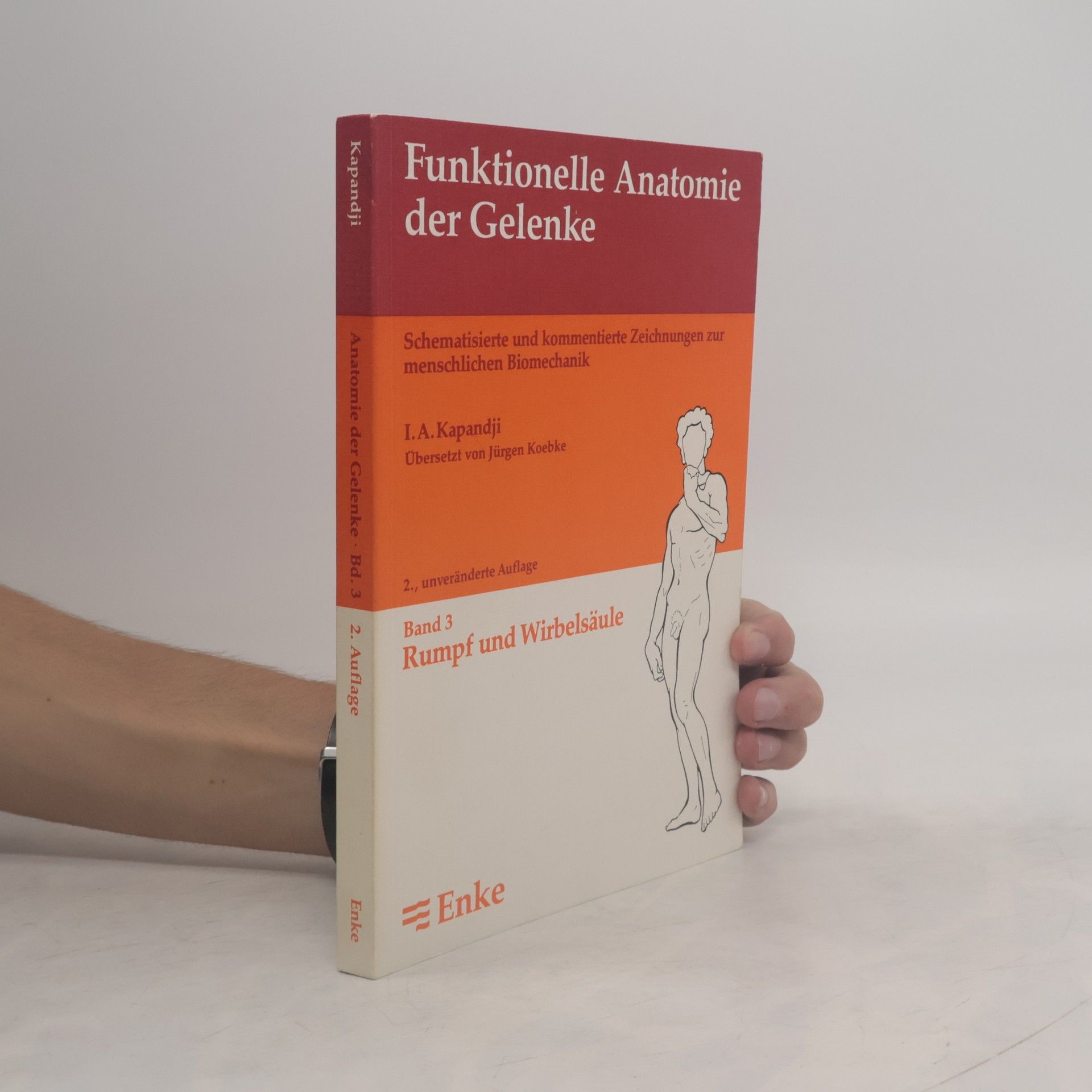 Funktionelle Anatomie der Gelenke