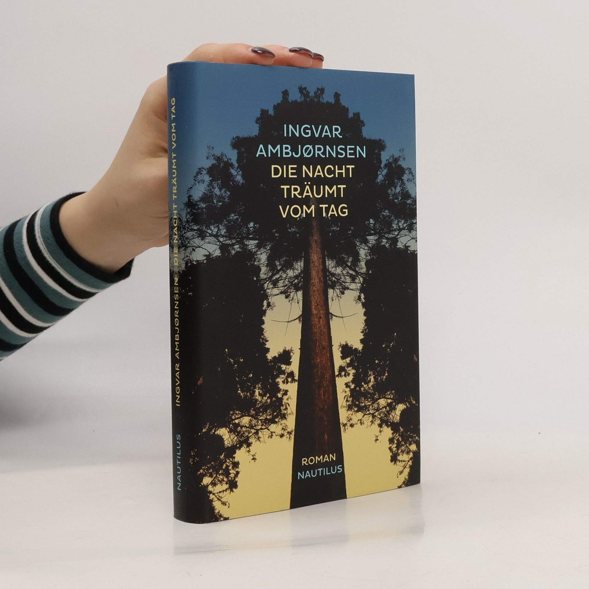 Ingvar Ambjørnsen Die Nacht träumt vom Tag