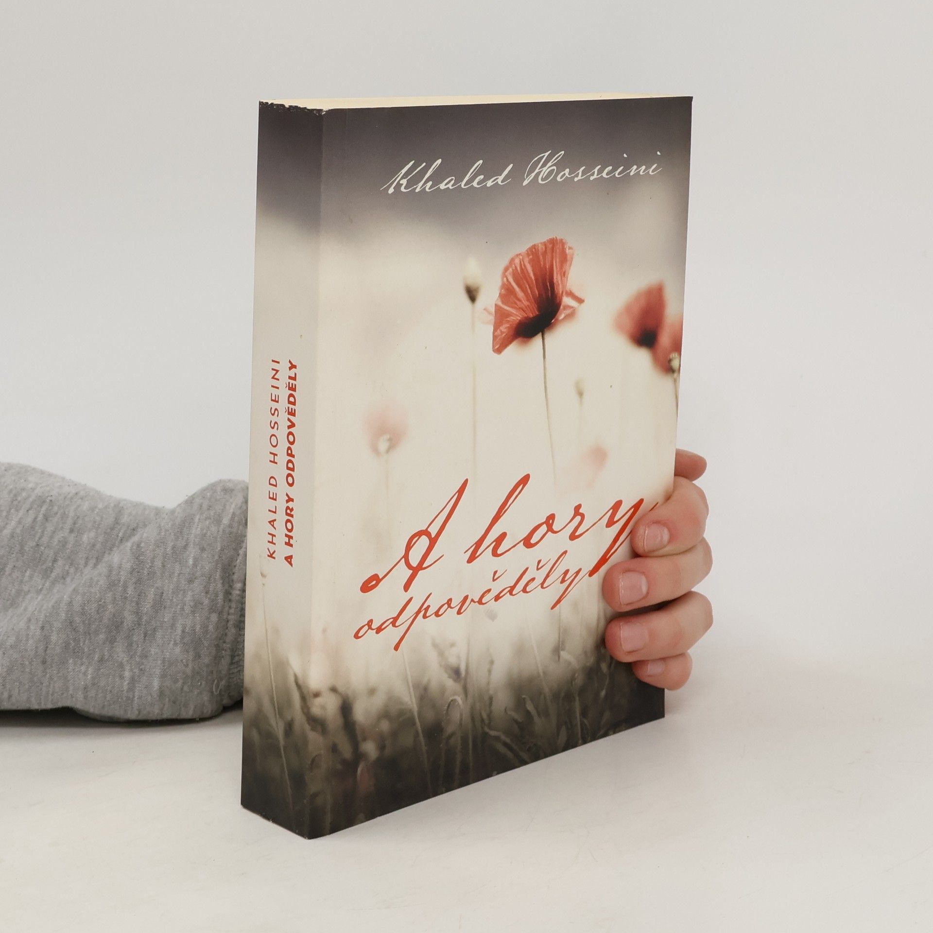 Khaled Hosseini A hory odpověděly