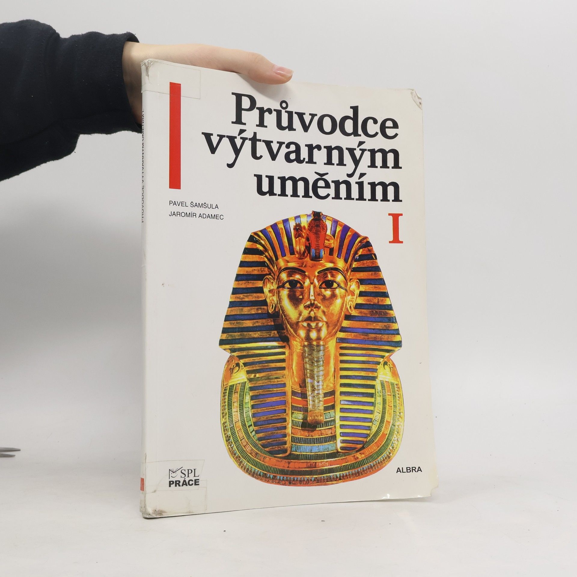 Pavel Šamšula Průvodce výtvarným uměním I