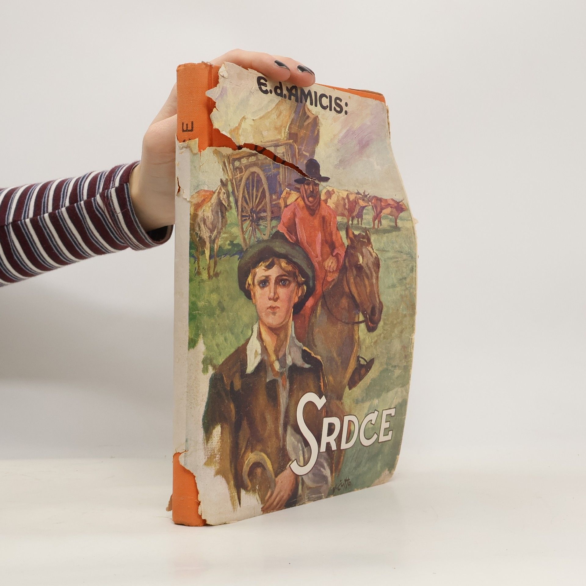 Edmondo De Amicis Srdce