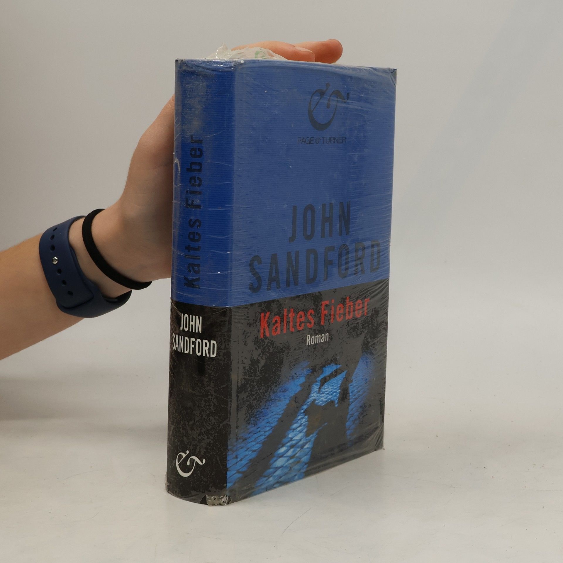 John Sandford Kaltes Fieber