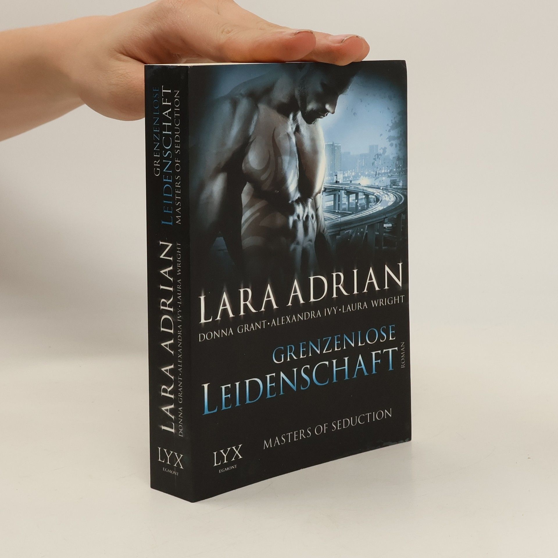 Alexandra Ivy Grenzenlose Leidenschaft