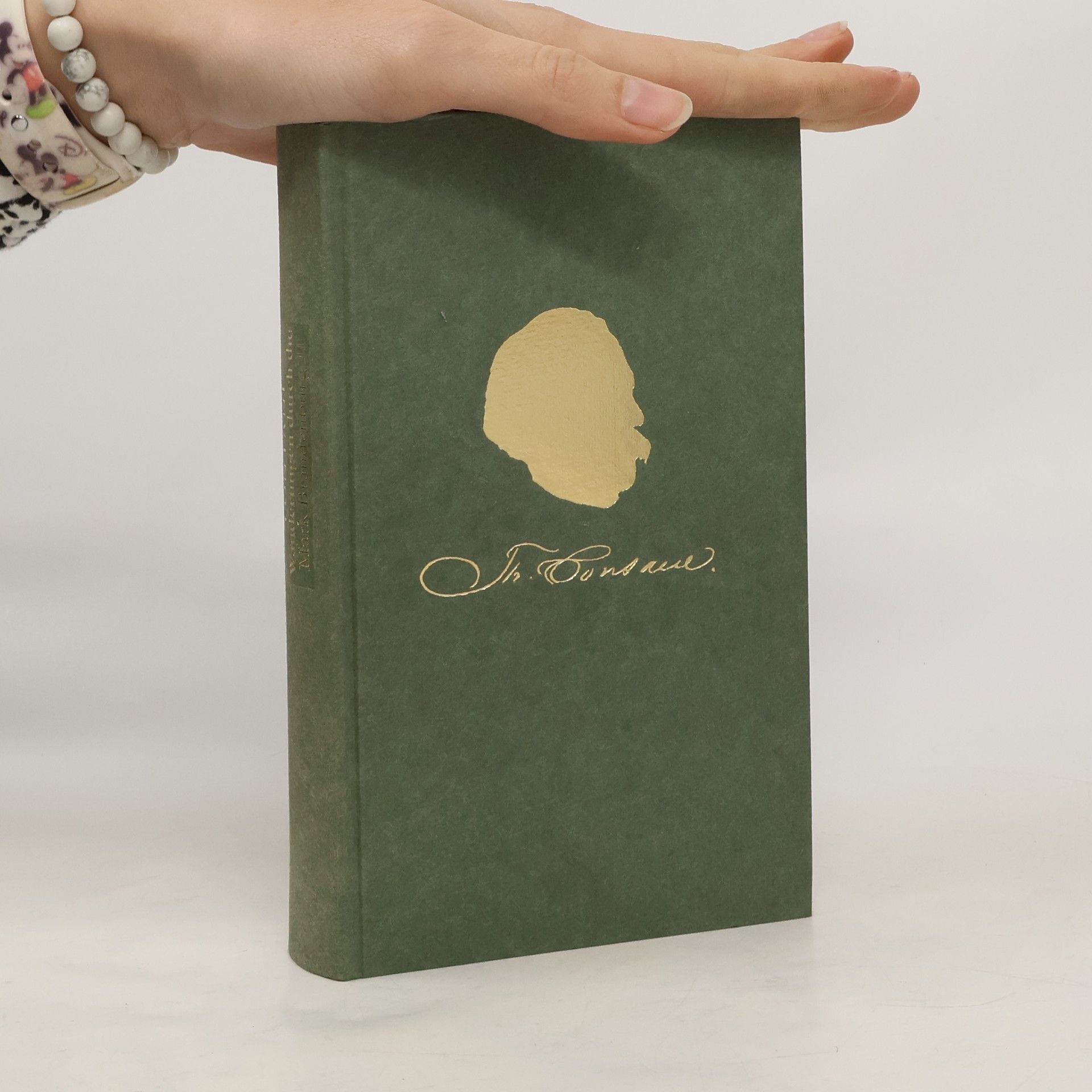 Theodor Fontane Wanderungen durch die Mark Brandenburg. Band 1