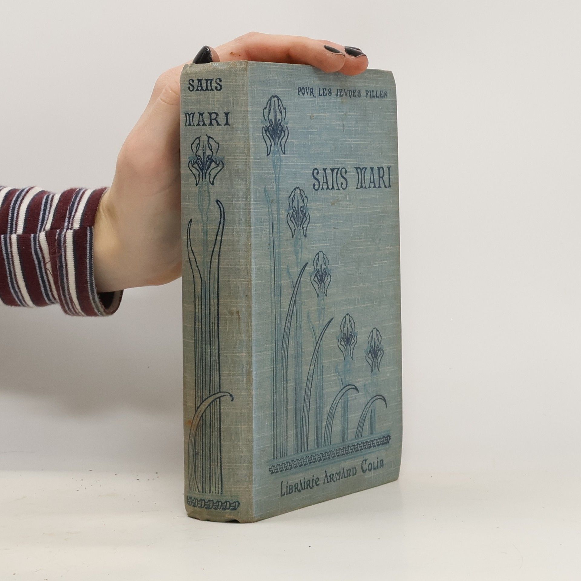 Valerie Le Coz Sans Mari