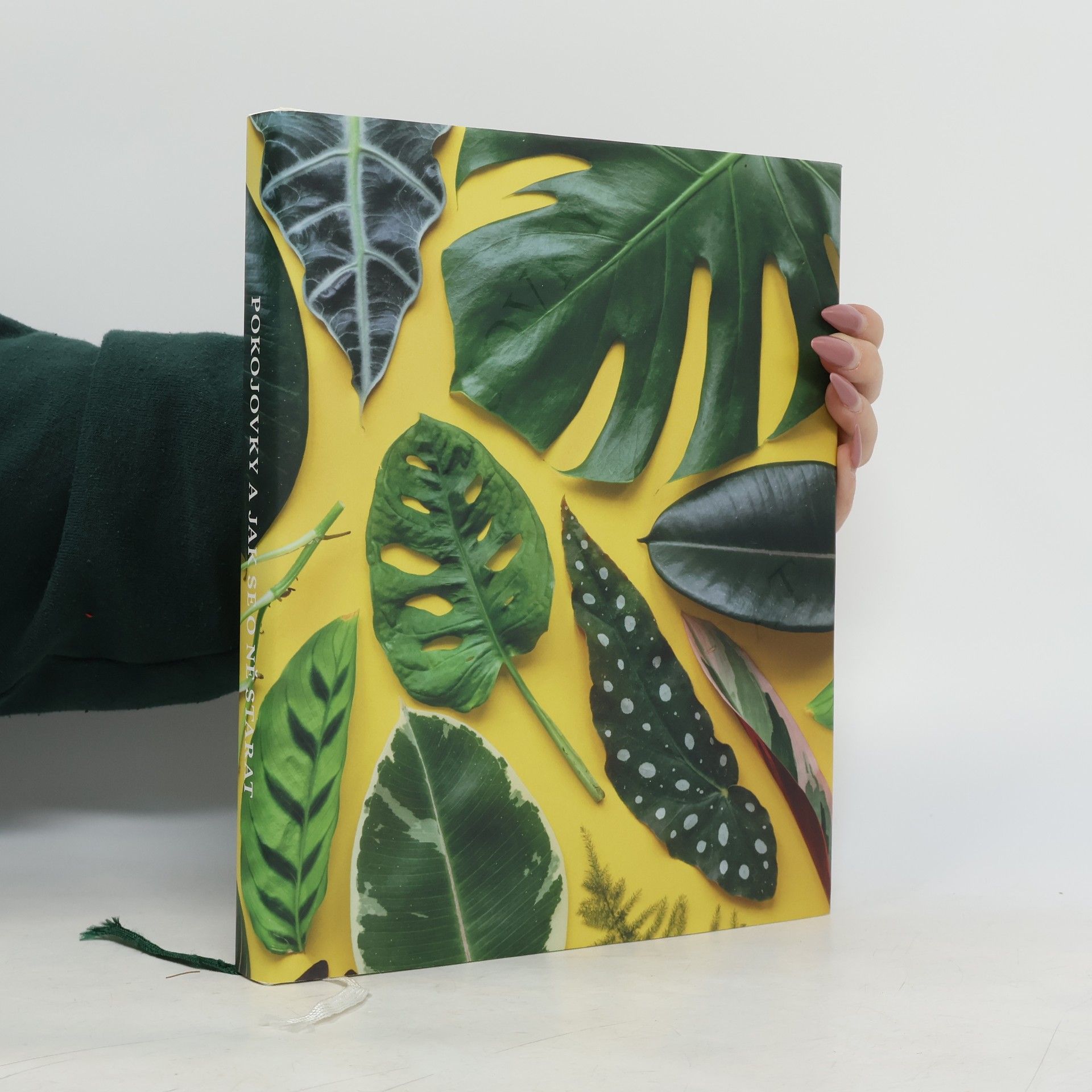 Aneta Vachová Pokojovky a jak se o ně starat