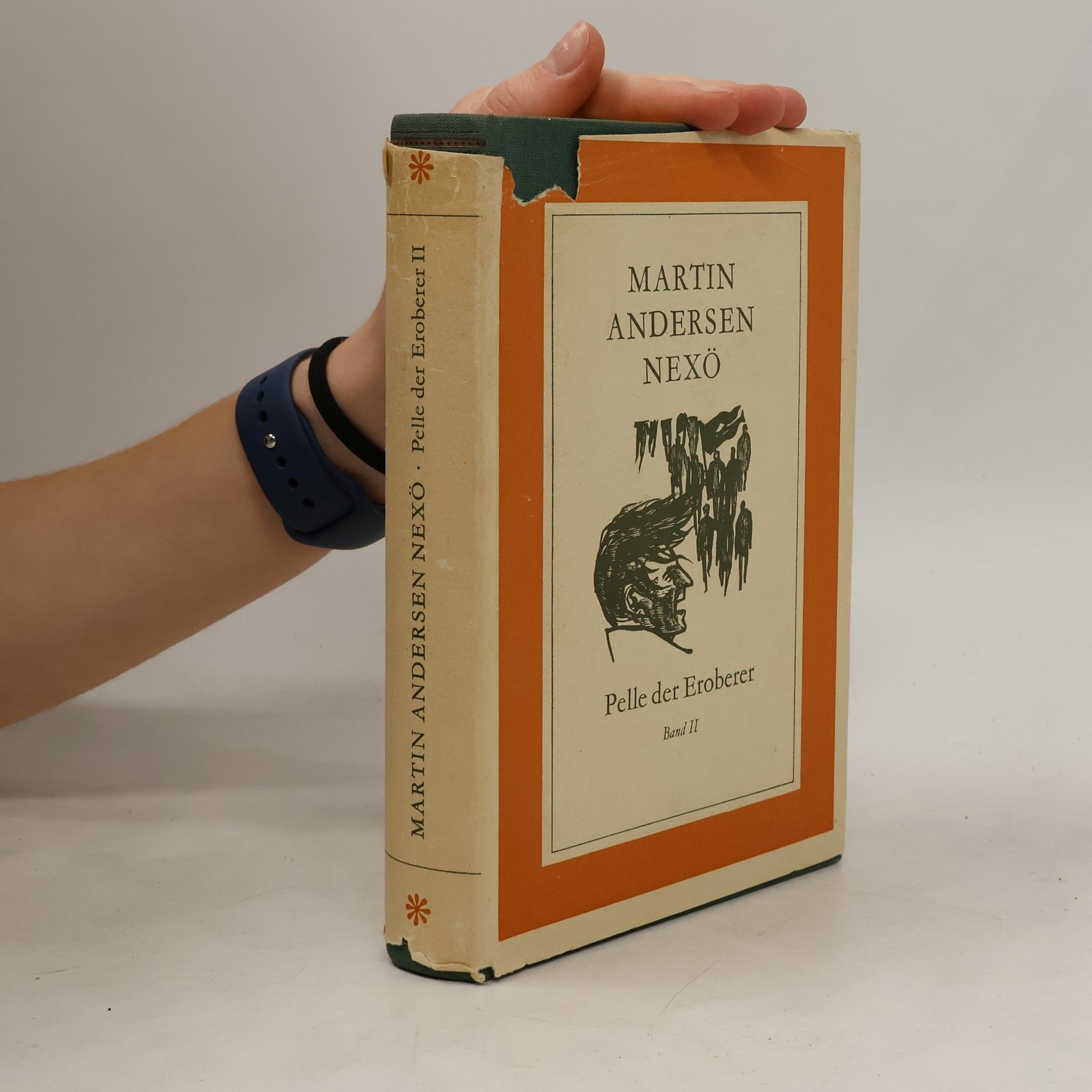 Martin Andersen Nexö Pelle der Eroberer I
