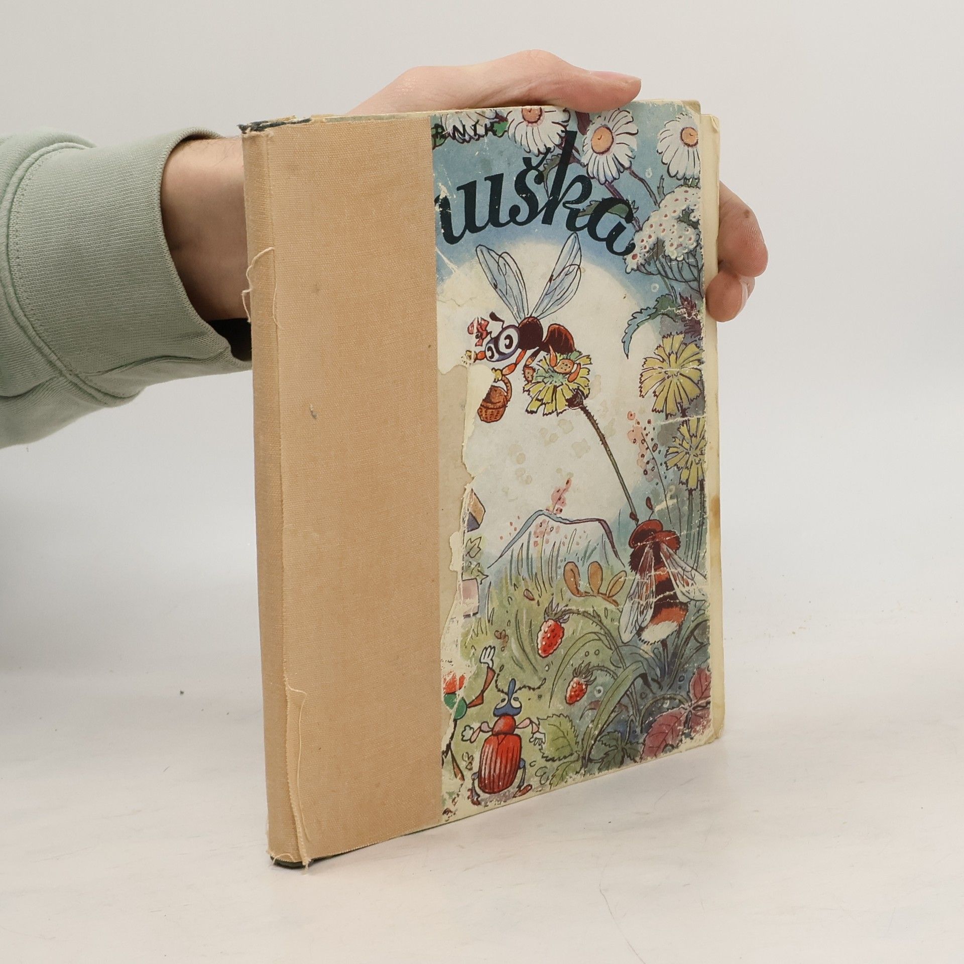 Jan Voborník Černuška