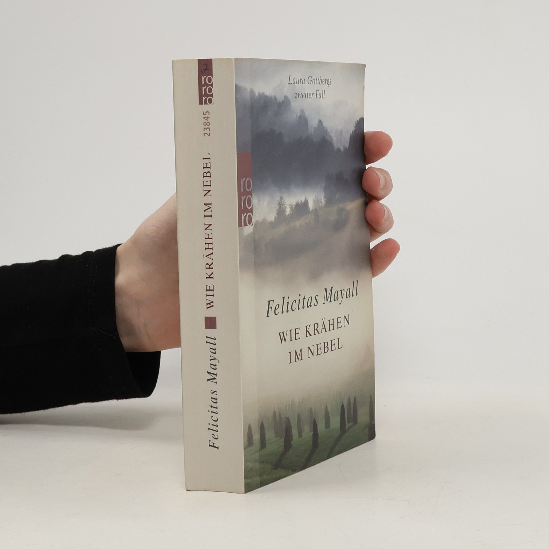 Wie Krähen im Nebel