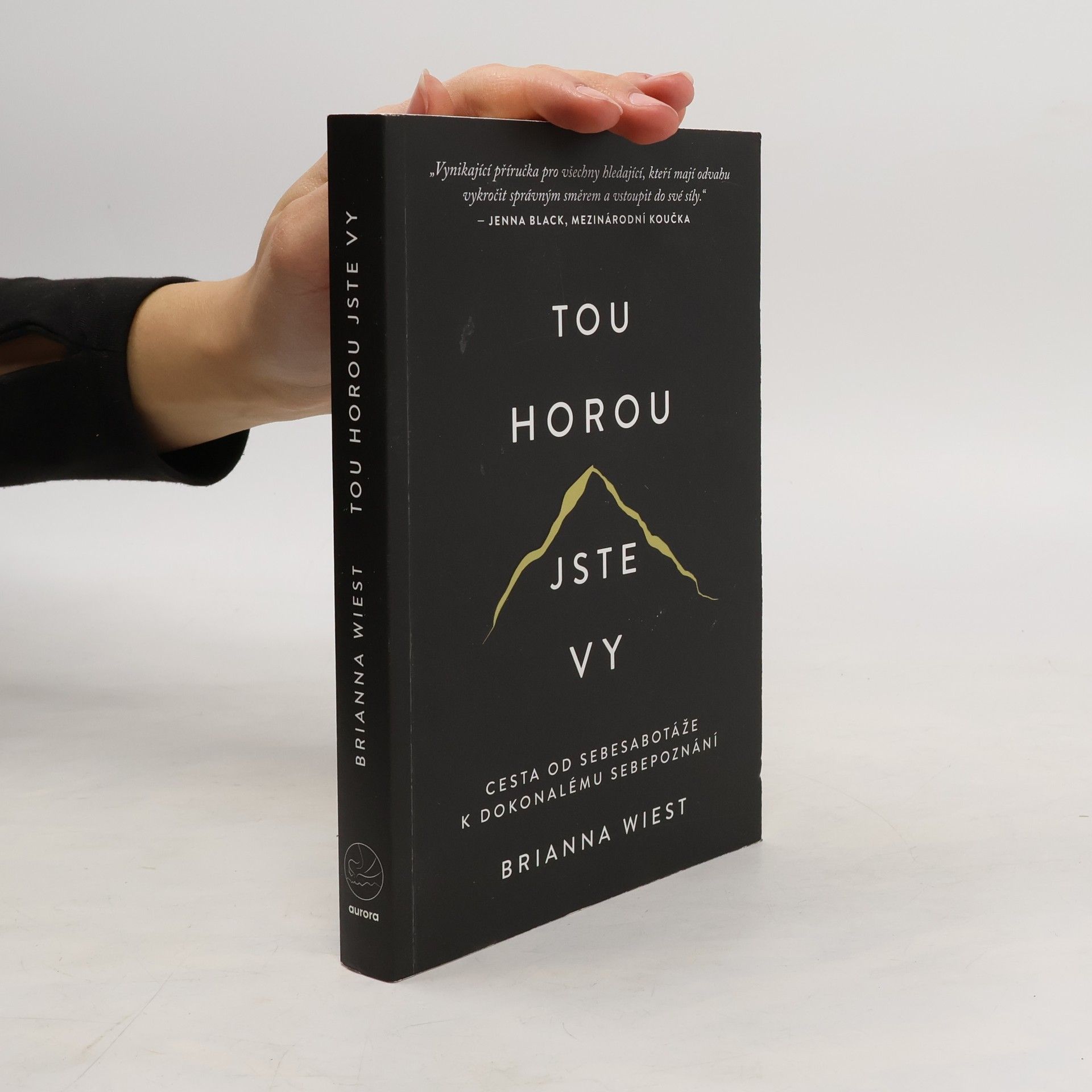 Brianna Wiest Tou horou jste vy