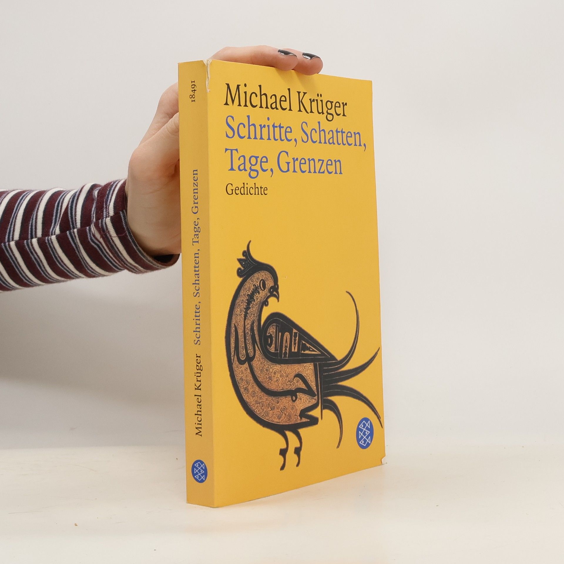 Michael Krüger Schritte, Schatten, Tage, Grenzen. Gedichte