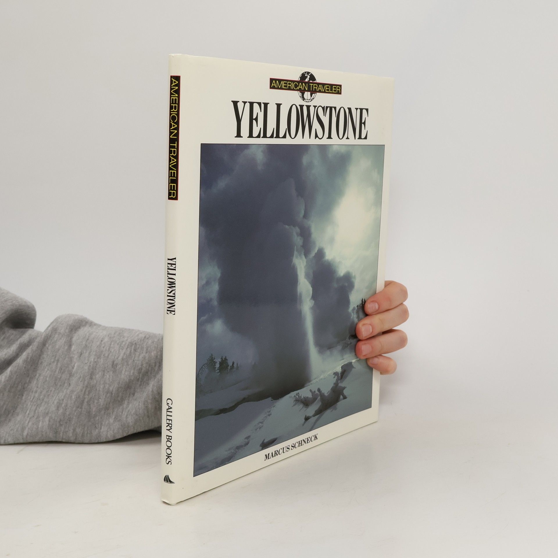 Marcus Schneck American Traveler