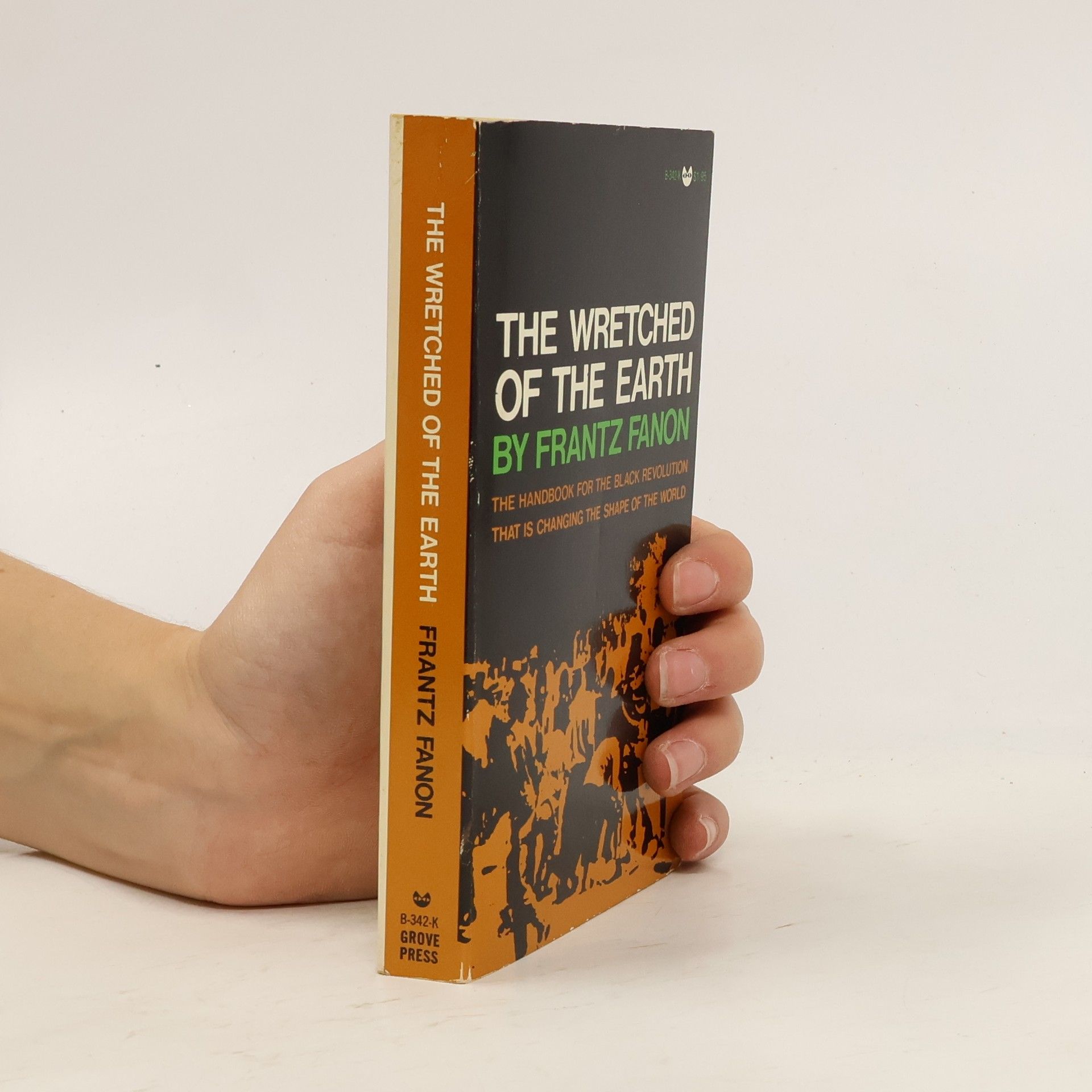 Frantz Fanon The Wretched of the Earth