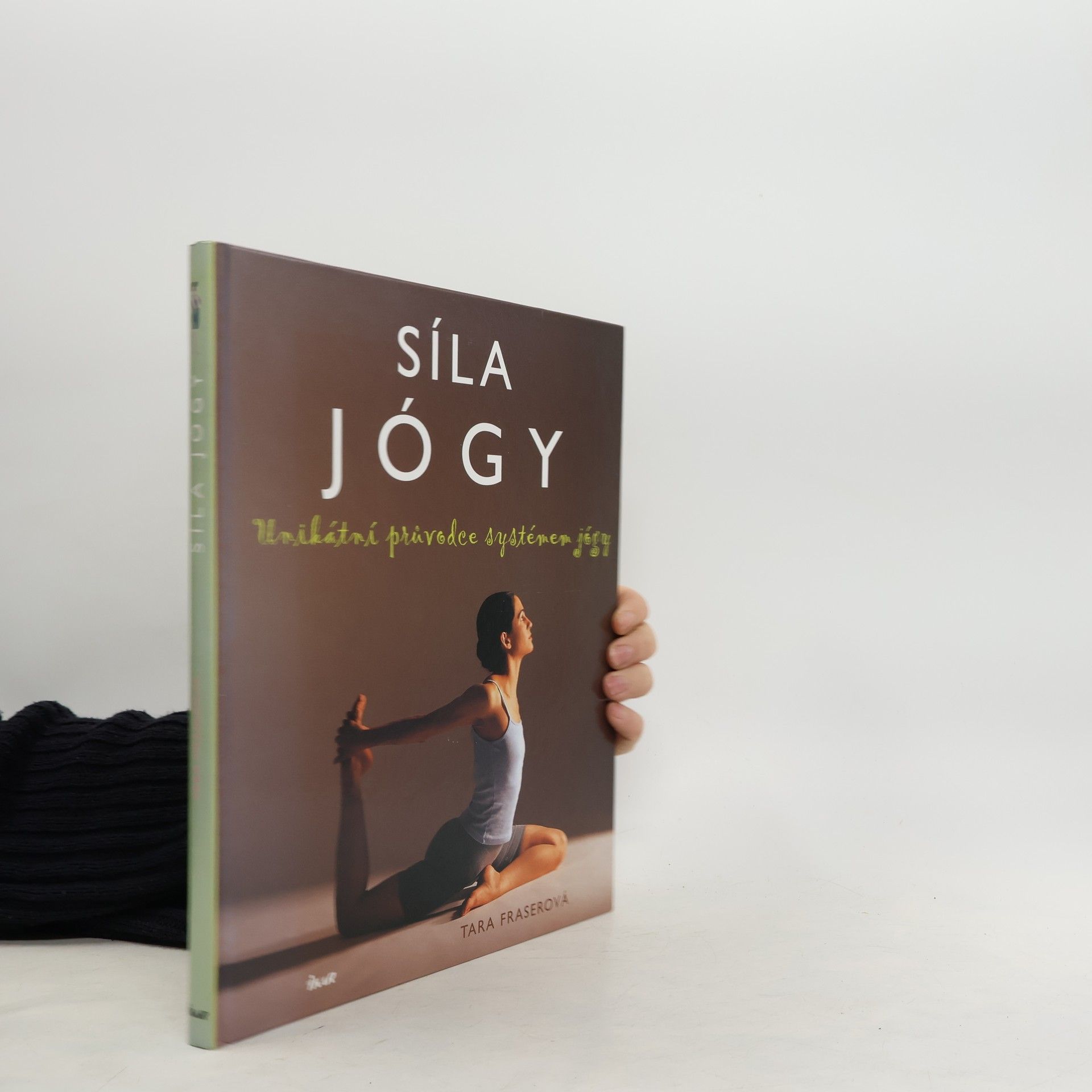 Síla jógy: Unikátní průvodce systémem jógy