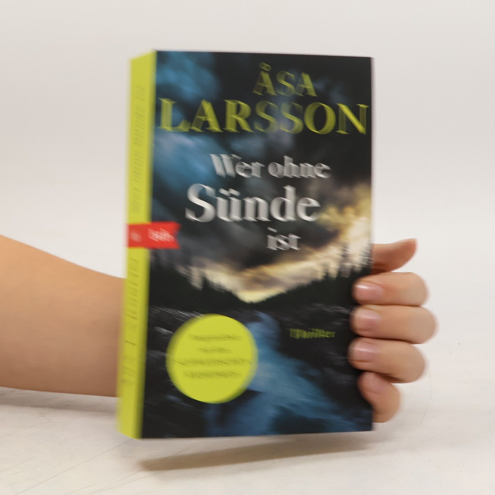 Åsa Larsson Wer ohne Sünde ist