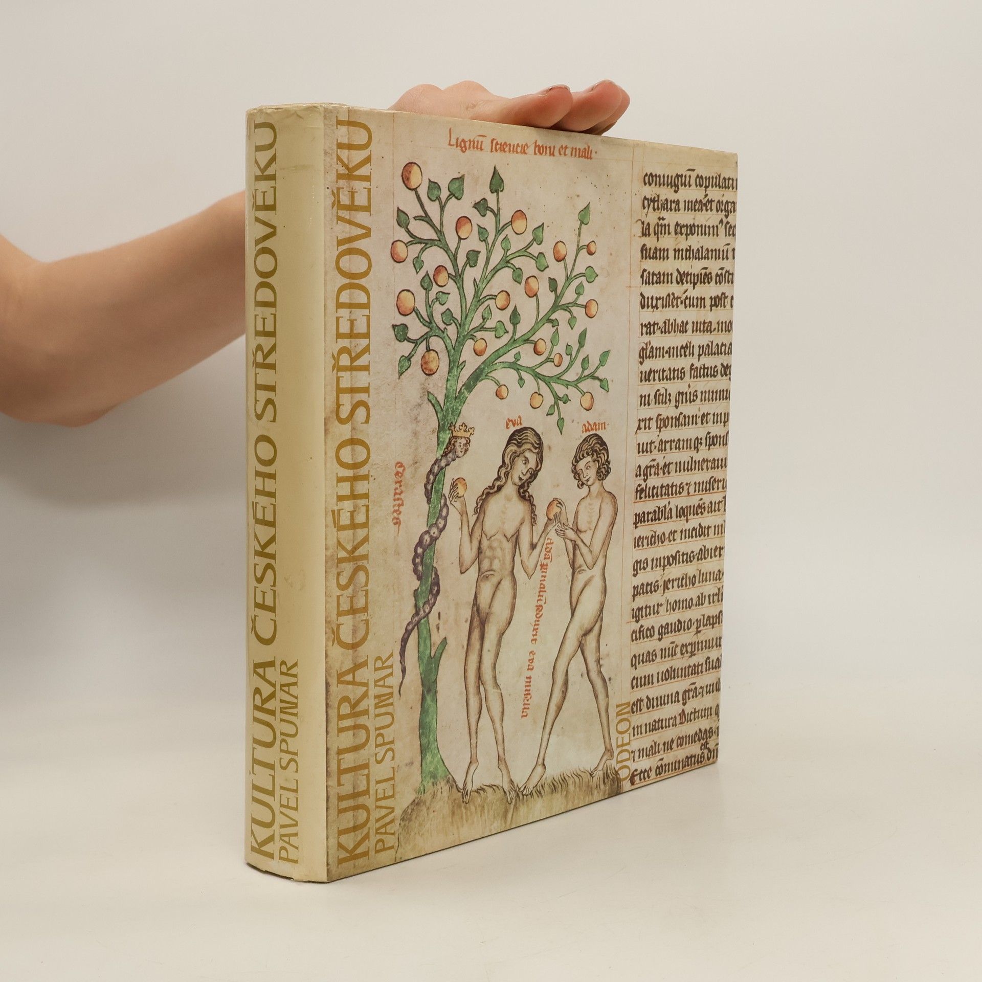 Pavel Spunar Kultura českého středověku