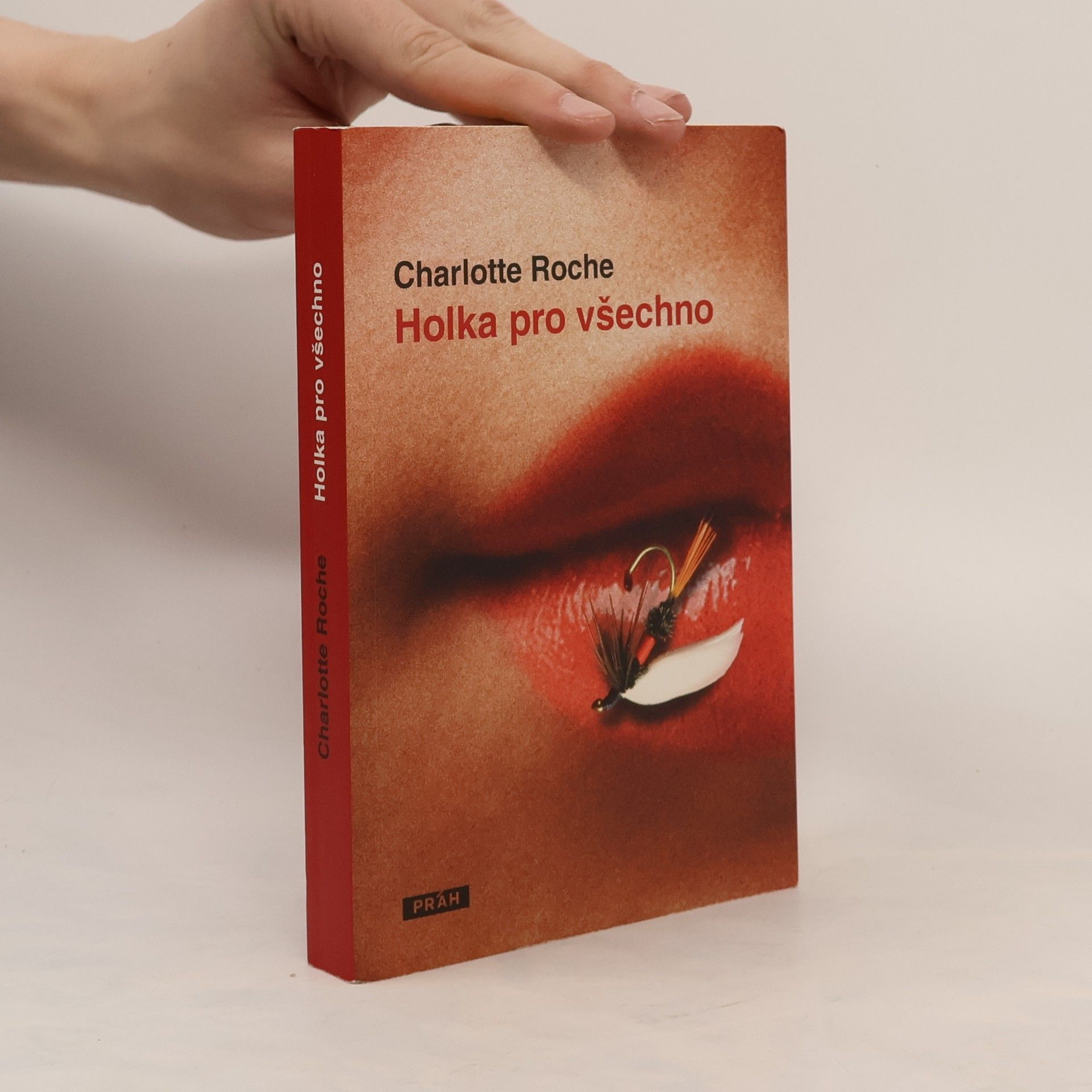 Holka pro všechno