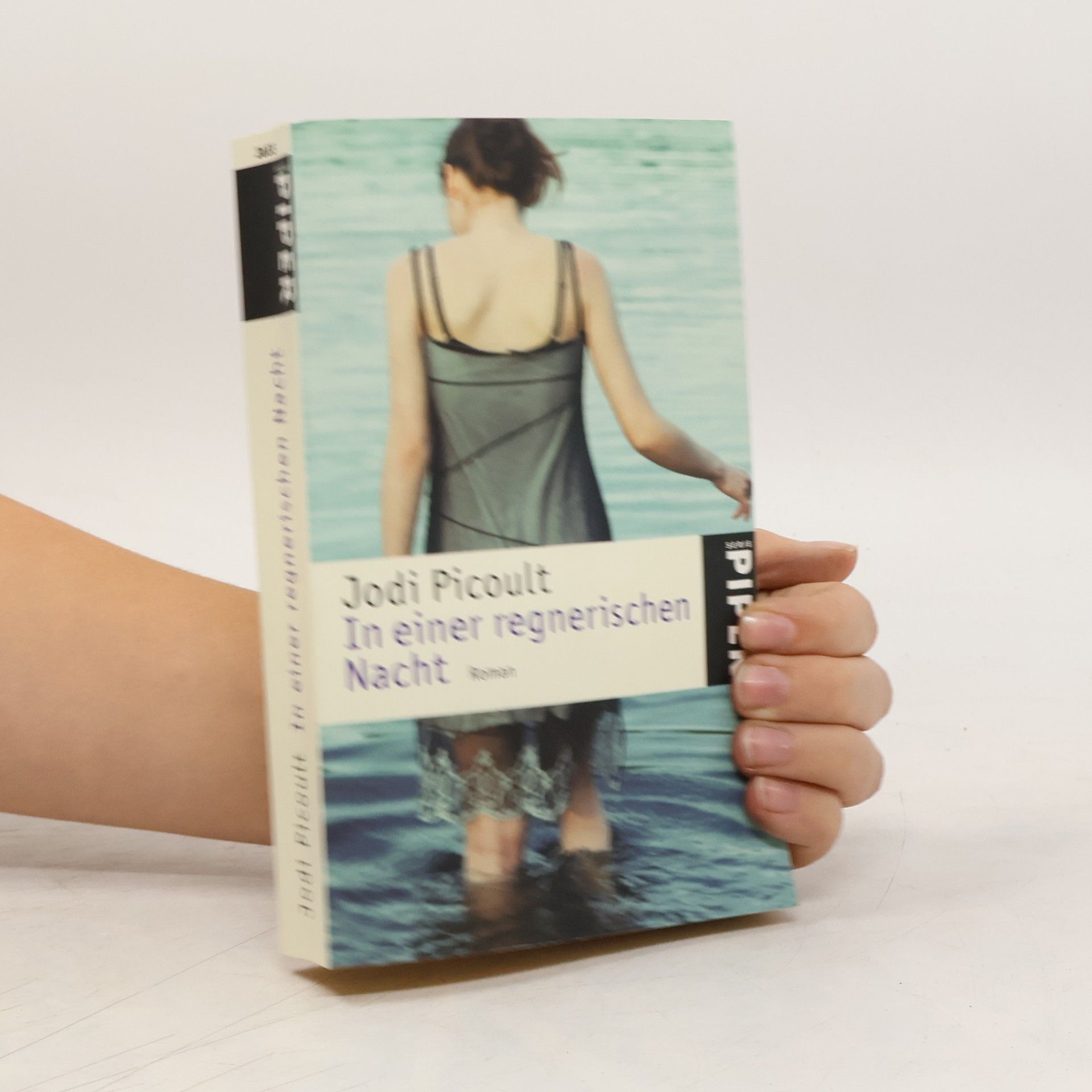 Jodi Picoult In einer regnerischen Nacht