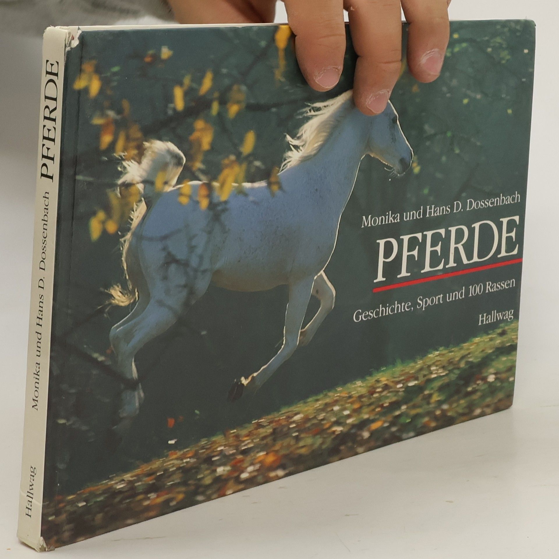 Pferde