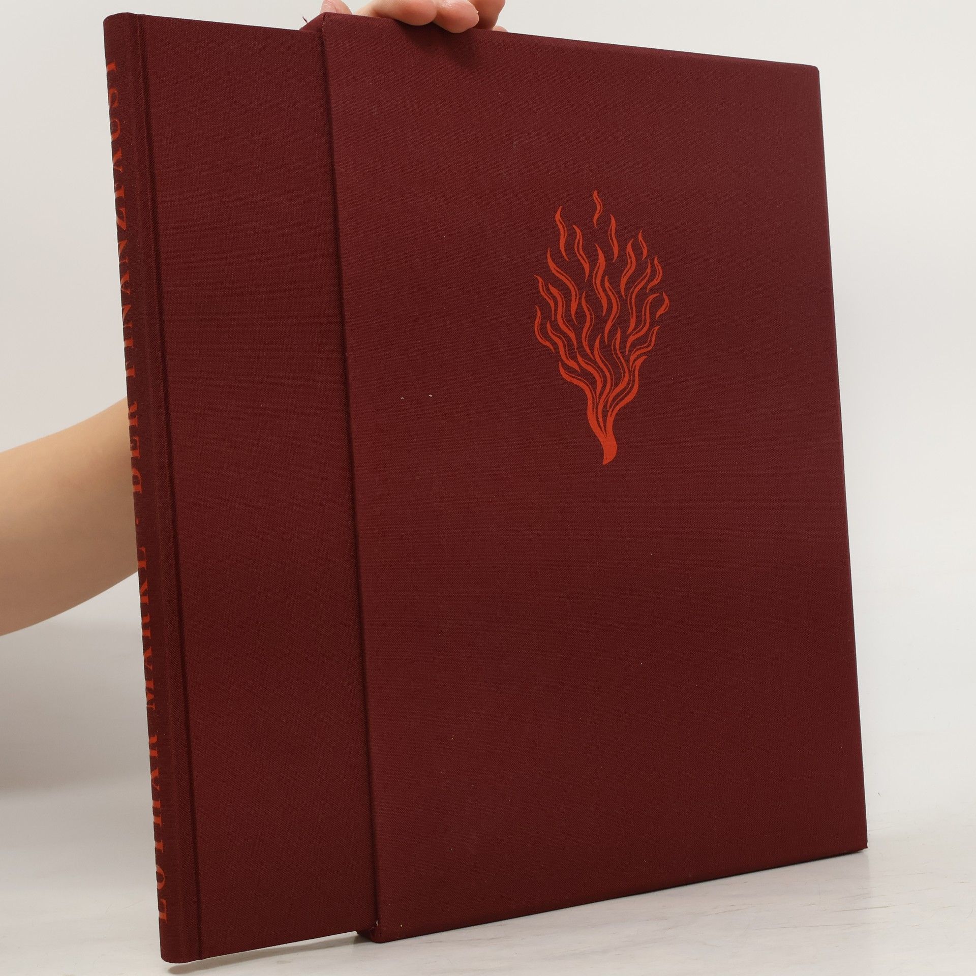 Lothar Märkl Der Finanzfaust