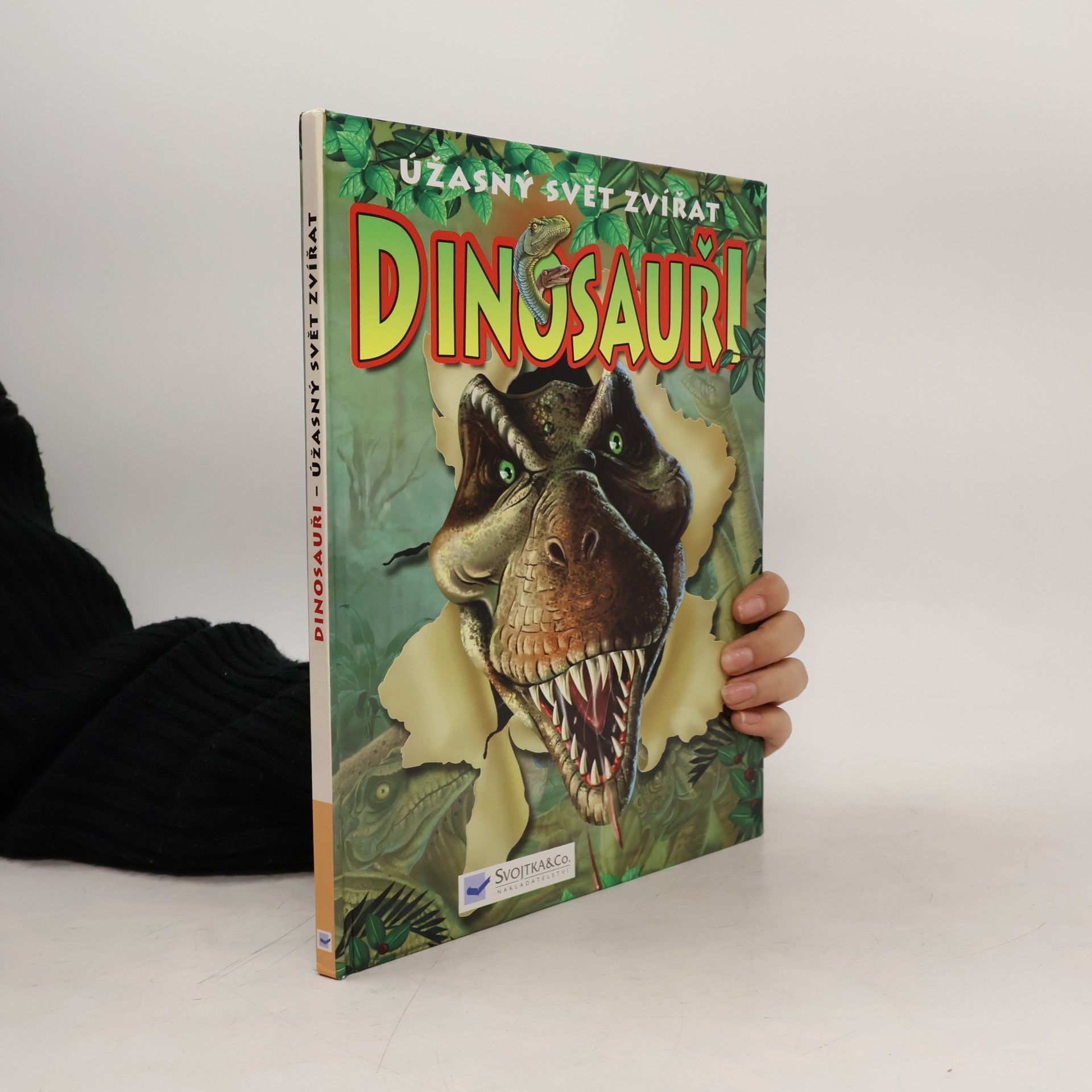 Martin Hrubeš Dinosauři : úžasný svět zvířat