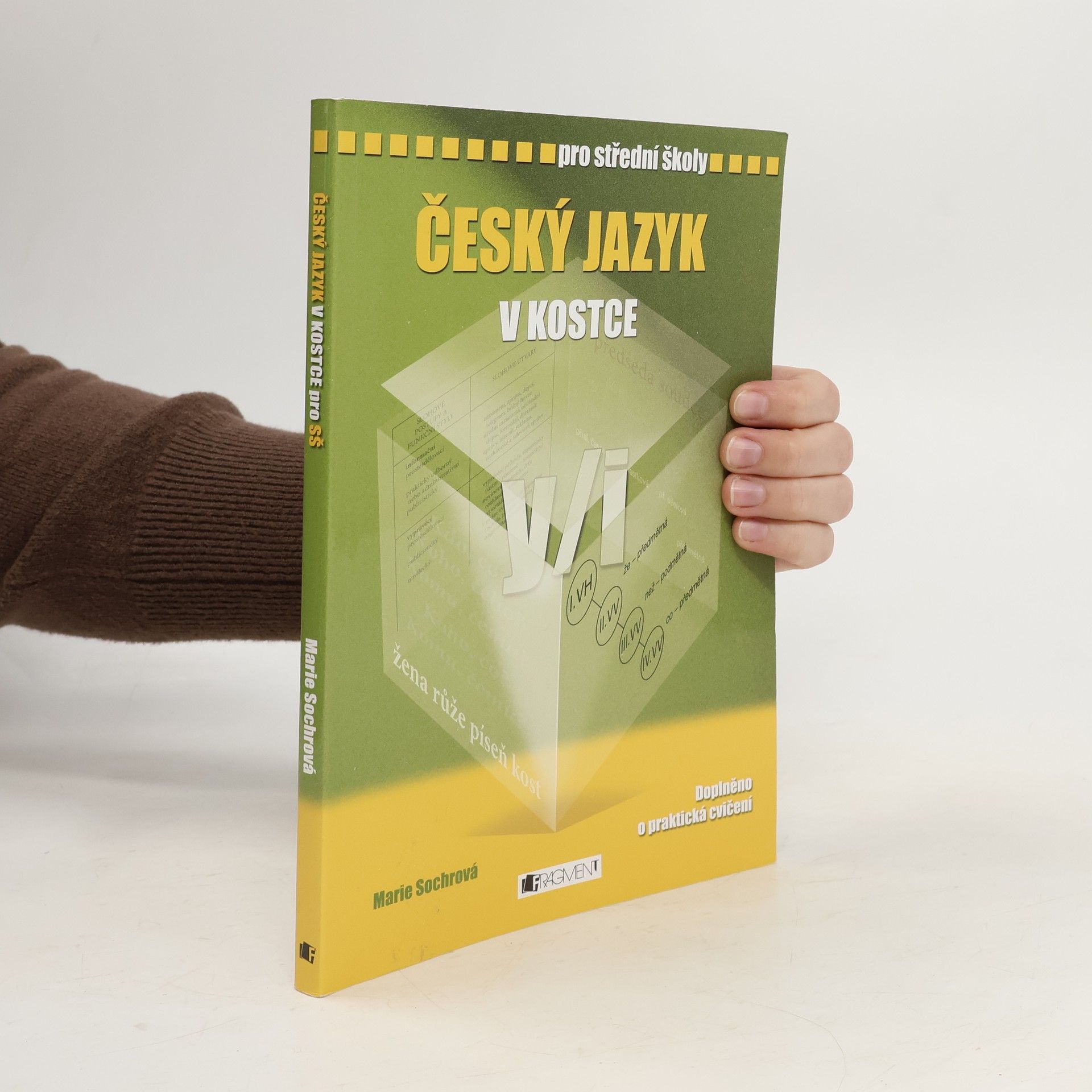 Marie Sochrová Český jazyk v kostce : pro střední školy