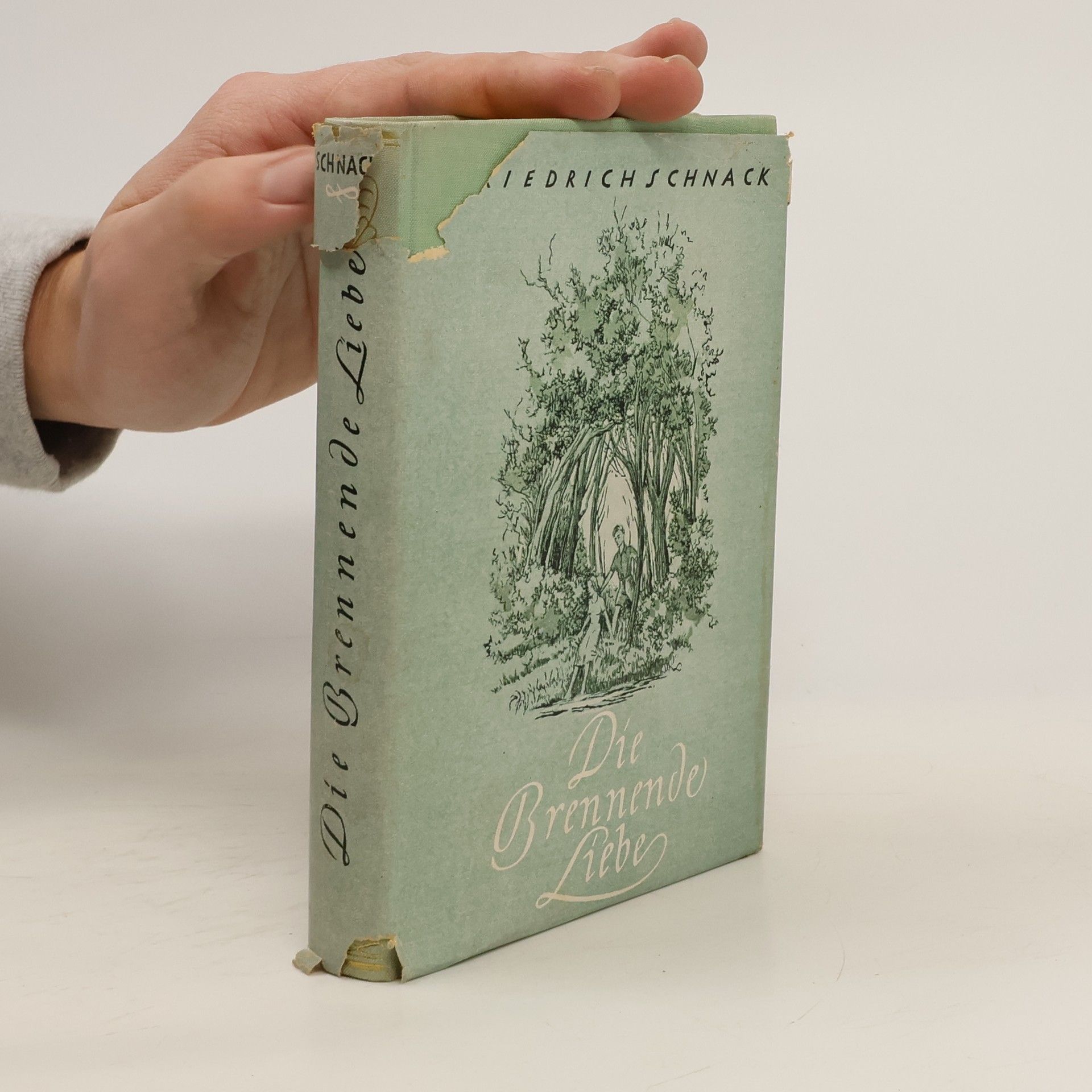 Friedrich Schnack Die Brennende Liebe