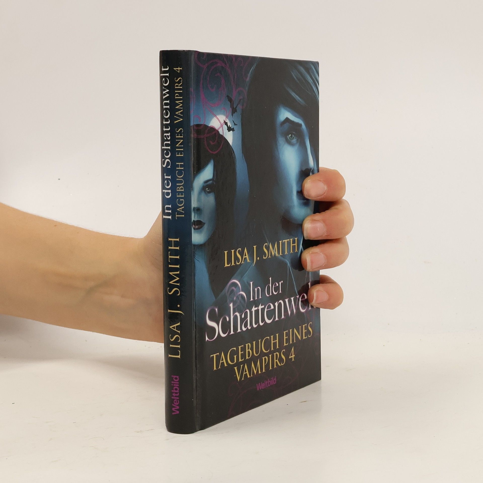L. J. Smith Tagebuch eines Vampirs 4. In der Schattenwelt
