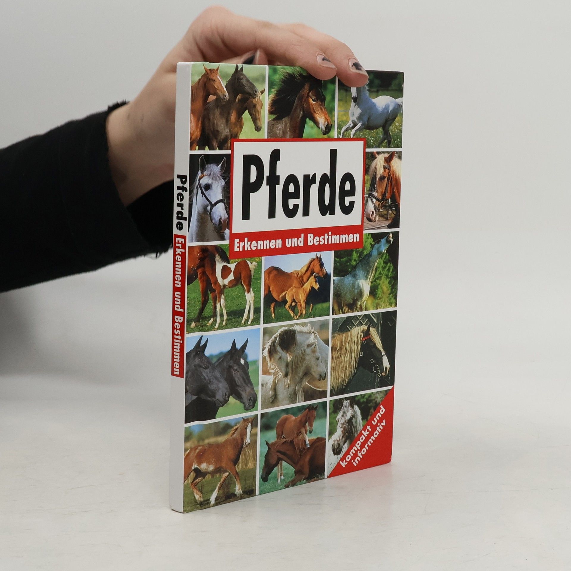 AA.VV. Pferde. Erkennen und Bestimmen